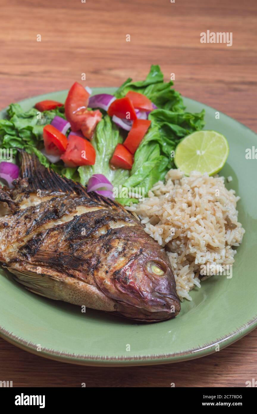 Tilapia rouge frais, connu sous le nom de Mojarra au Mexique. Souvent servi 'al mojo de ajo' grillé ou frit, avec une huile infusée à l'ail et aux agrumes Banque D'Images