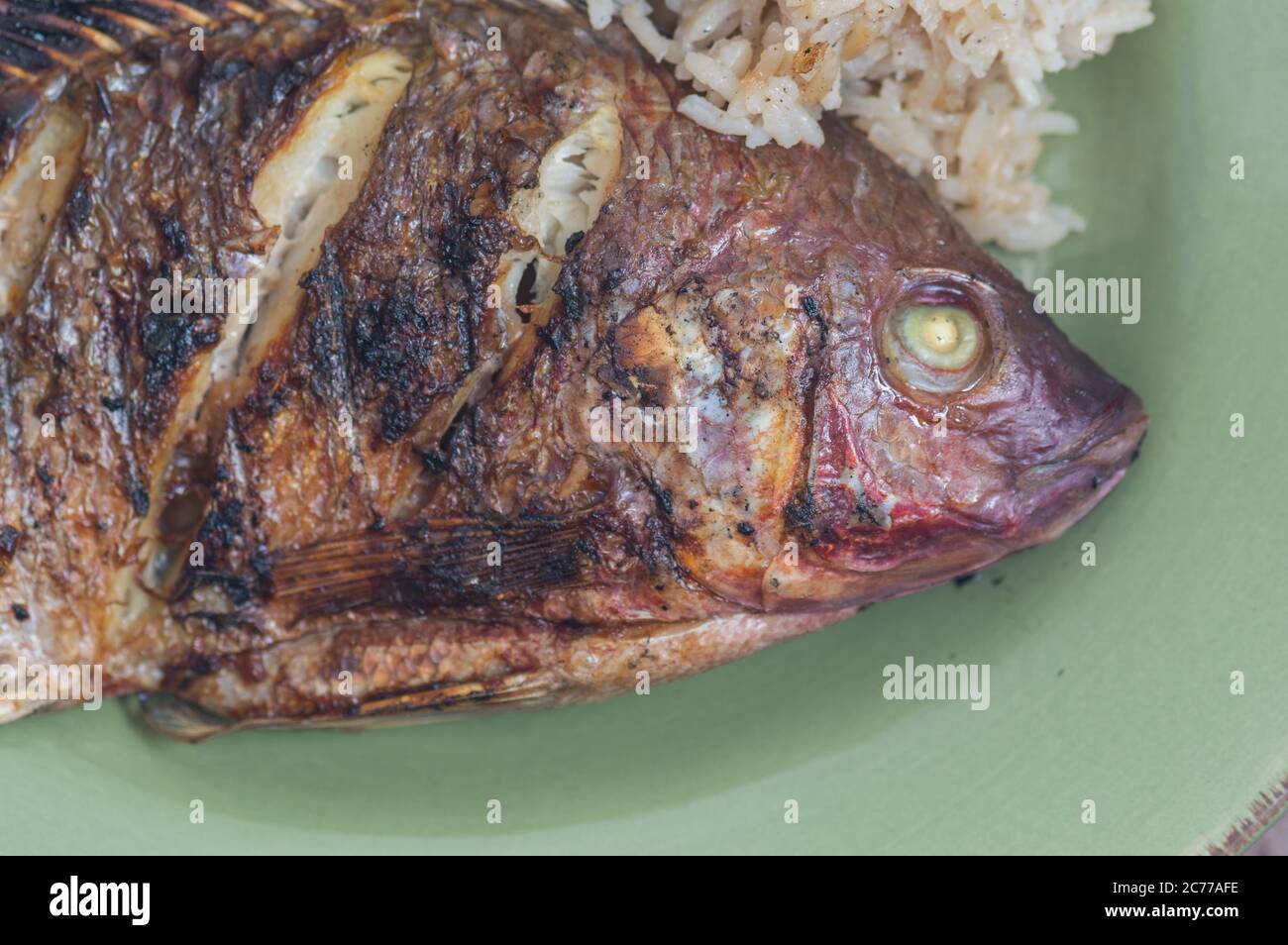 Tilapia rouge frais, connu sous le nom de Mojarra au Mexique. Souvent servi 'al mojo de ajo' grillé ou frit, avec une huile infusée à l'ail et aux agrumes Banque D'Images