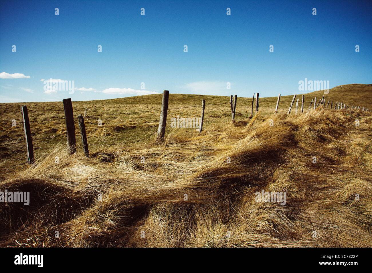 Barbelés en milieu rural, Parc naturel régional des Volcans d'Auvergne, Cezallier, Puy de Dome, France, Europe Banque D'Images