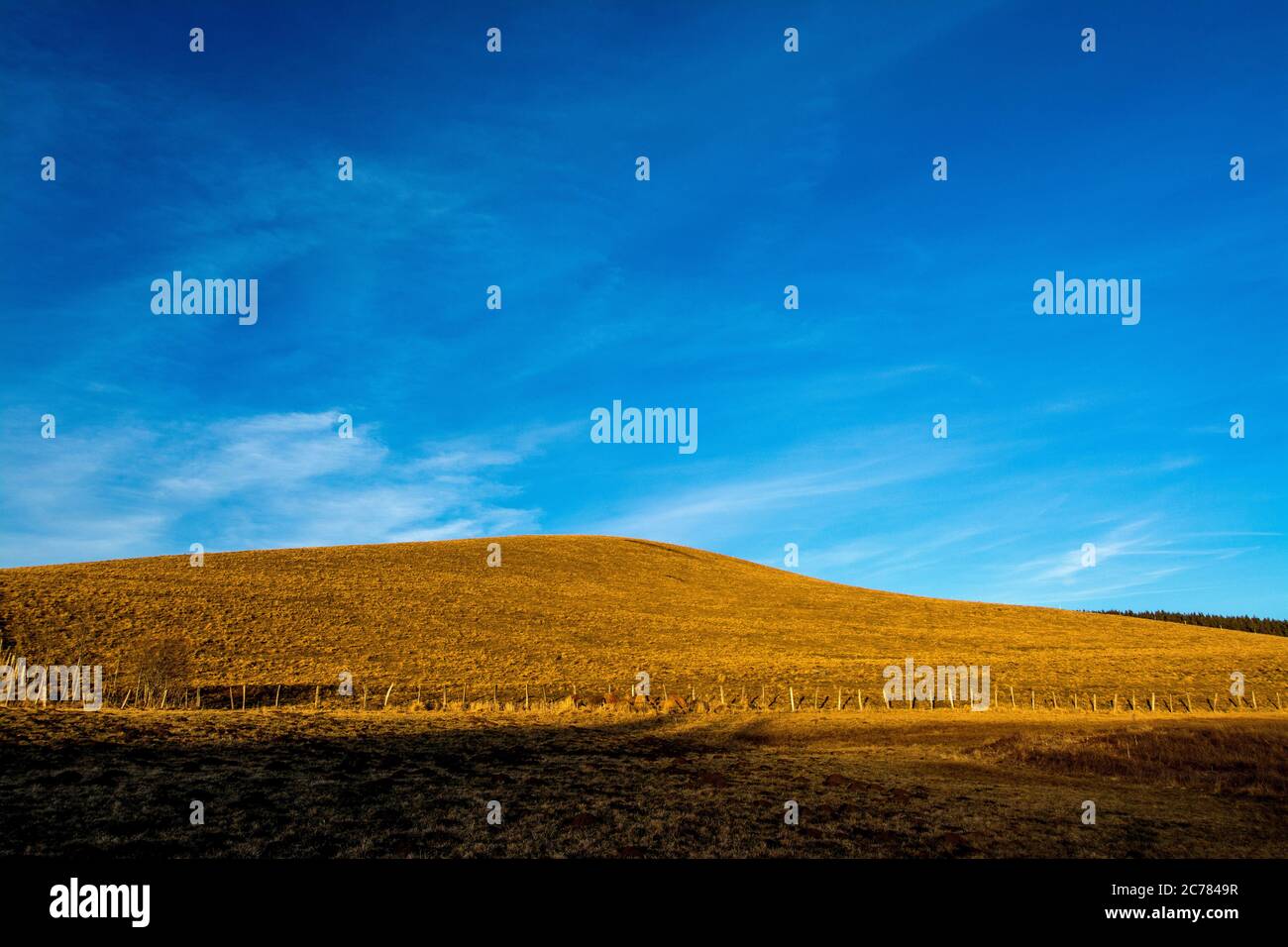 Massif du Cezallier , Parc naturel régional des Volcans d'Auvergne, Cezallier, Puy de Dôme, France, Europe Banque D'Images