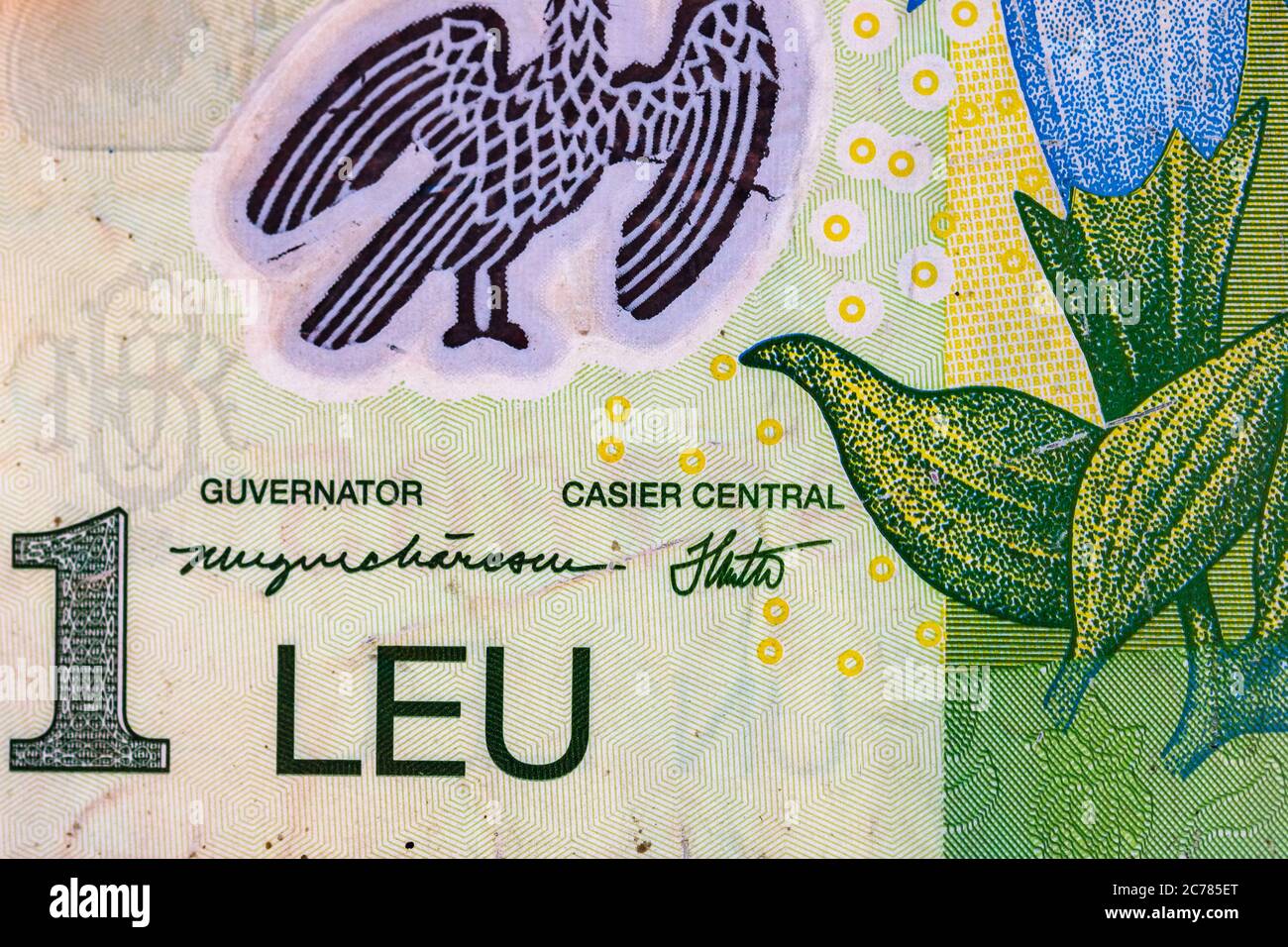 Accent sélectif sur le détail des billets de lei. Gros plan macro détail des billets de lei roumains, 1 leu isolé. Concept de monnaie mondiale, inflation et econom Banque D'Images