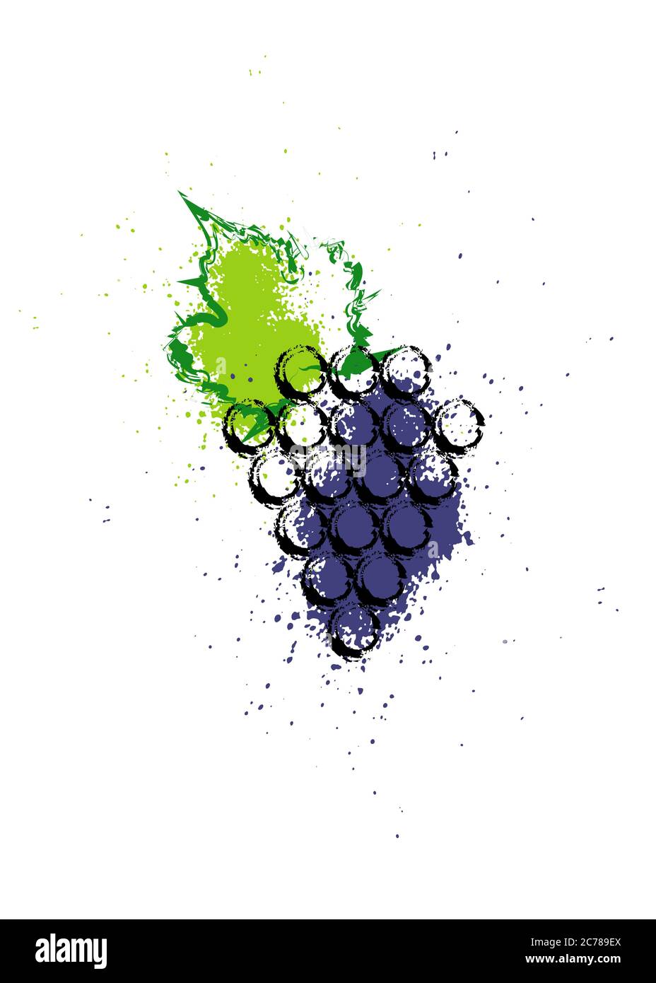 Illustration vectorielle colorée et icône de vigne de raisin. Aquarelle abstraite de style splash avec baies de raisin. Concept design pour l'étiquette des vins, la carte des vins, le menu Illustration de Vecteur
