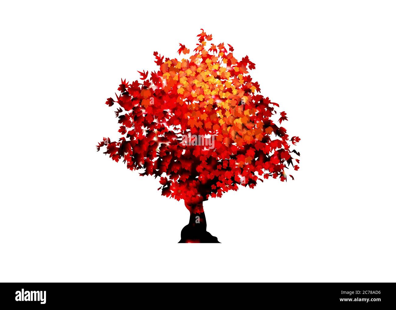 icône d'érable rouge vectoriel isolée sur fond blanc. Acer Palmatum, Deshojo, érable japonais bonsaï. Scarlet Princess Dwarf Japanese Illustration de Vecteur