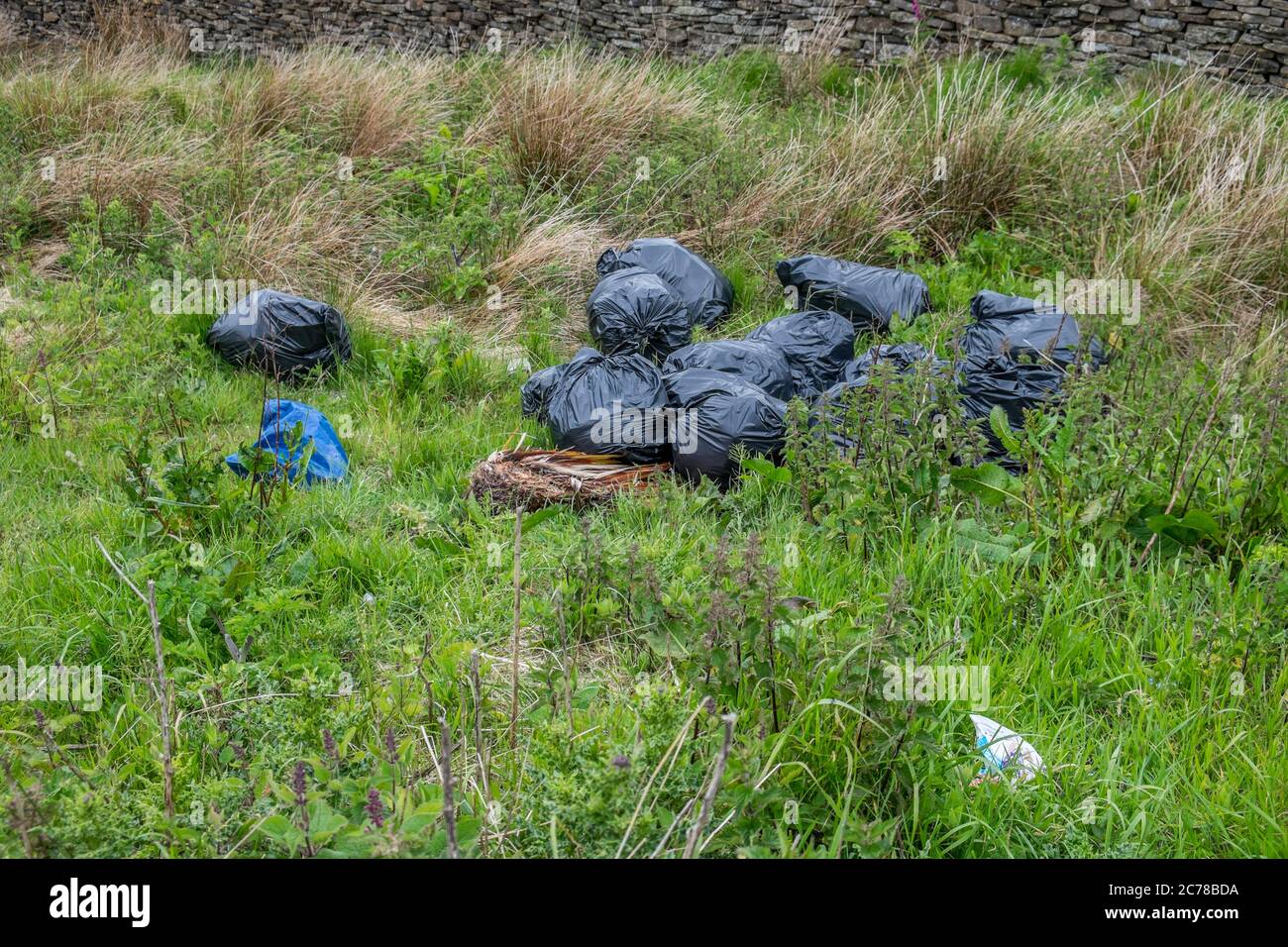 La litière est parsemée de terre de mour, y compris des masques de visage usés, du papier toilette et des sacs en plastique noir. Banque D'Images