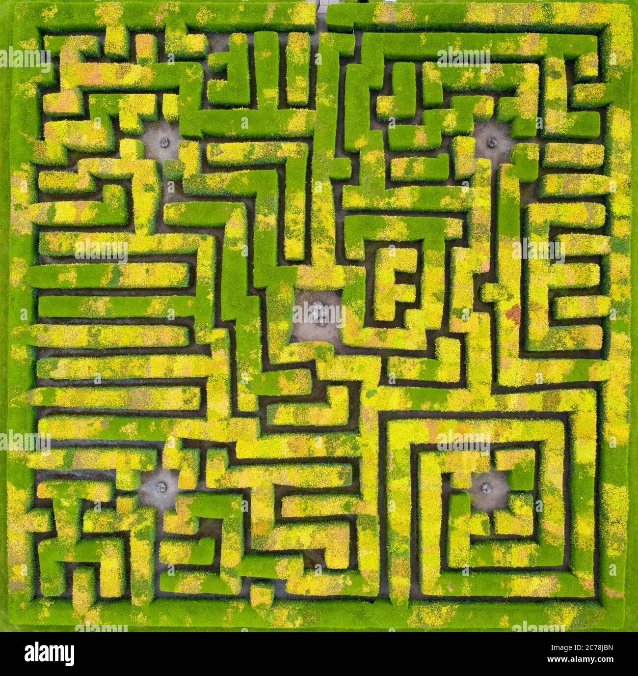 Vue aérienne depuis un drone de labyrinthe à Traquair House, aux frontières écossaises, en Écosse, au Royaume-Uni Banque D'Images