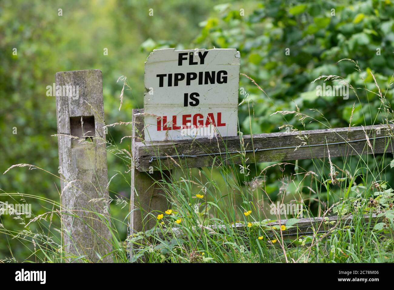 Le pourboire à la mouche est un signe illégal dans un endroit rural - Angleterre, Royaume-Uni Banque D'Images