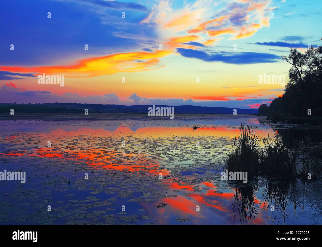Coucher de soleil spectaculaire sur le lac.nénuphars sur le lac. Crépuscule.  Réflexion miroir dans l'eau Photo Stock - Alamy