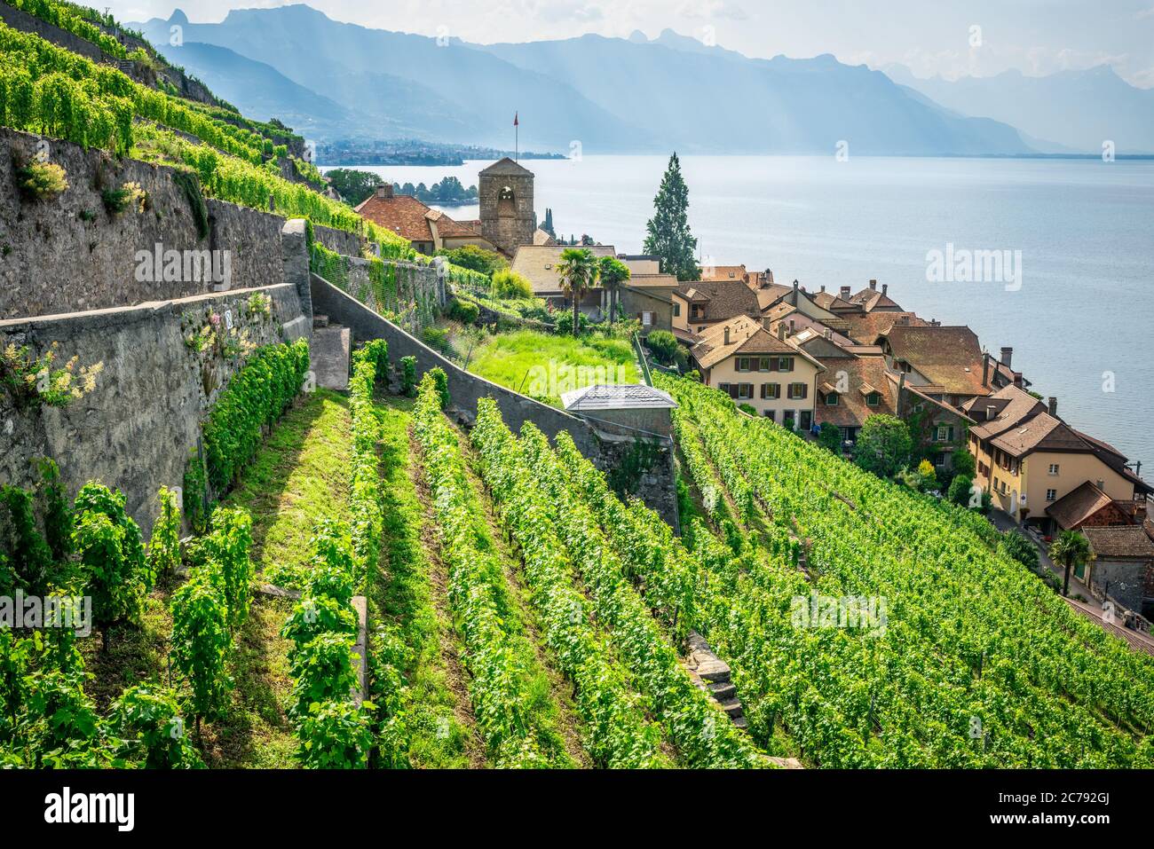 Panorama pittoresque de Lavaux avec les vignobles en terrasse du village de Saint-Saphorin et le lac de Genève entouré de montagnes à Lavaux Vaud Suisse Banque D'Images