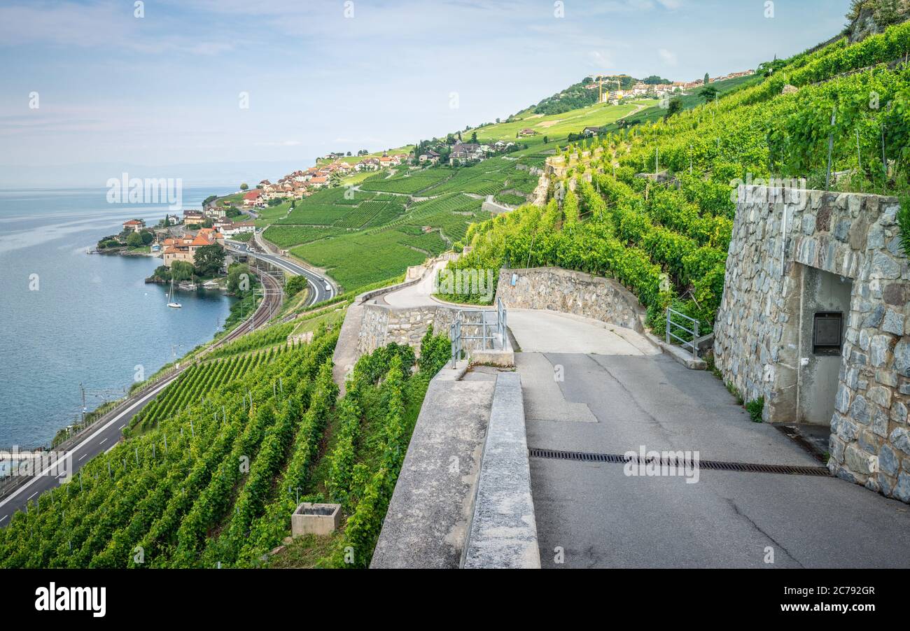 Sentier de randonnée au milieu des vignobles en terrasse de Lavaux et du village de Rivaz, côté lac Léman, à Lavaux Vaud, en Suisse Banque D'Images