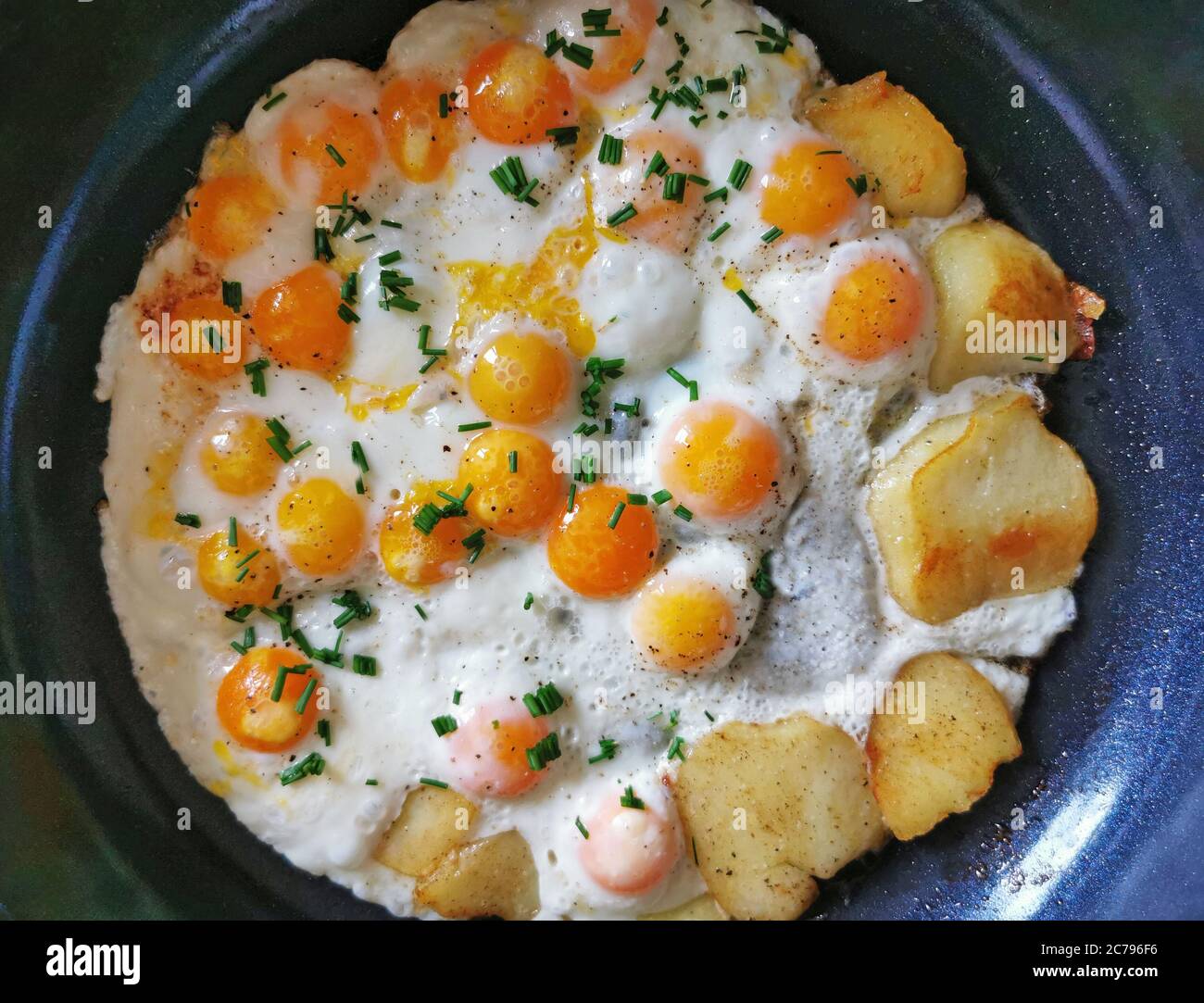 œufs de caille frits avec de nombreux jaunes et pommes de terre frites dans une poêle, vue du dessus Banque D'Images