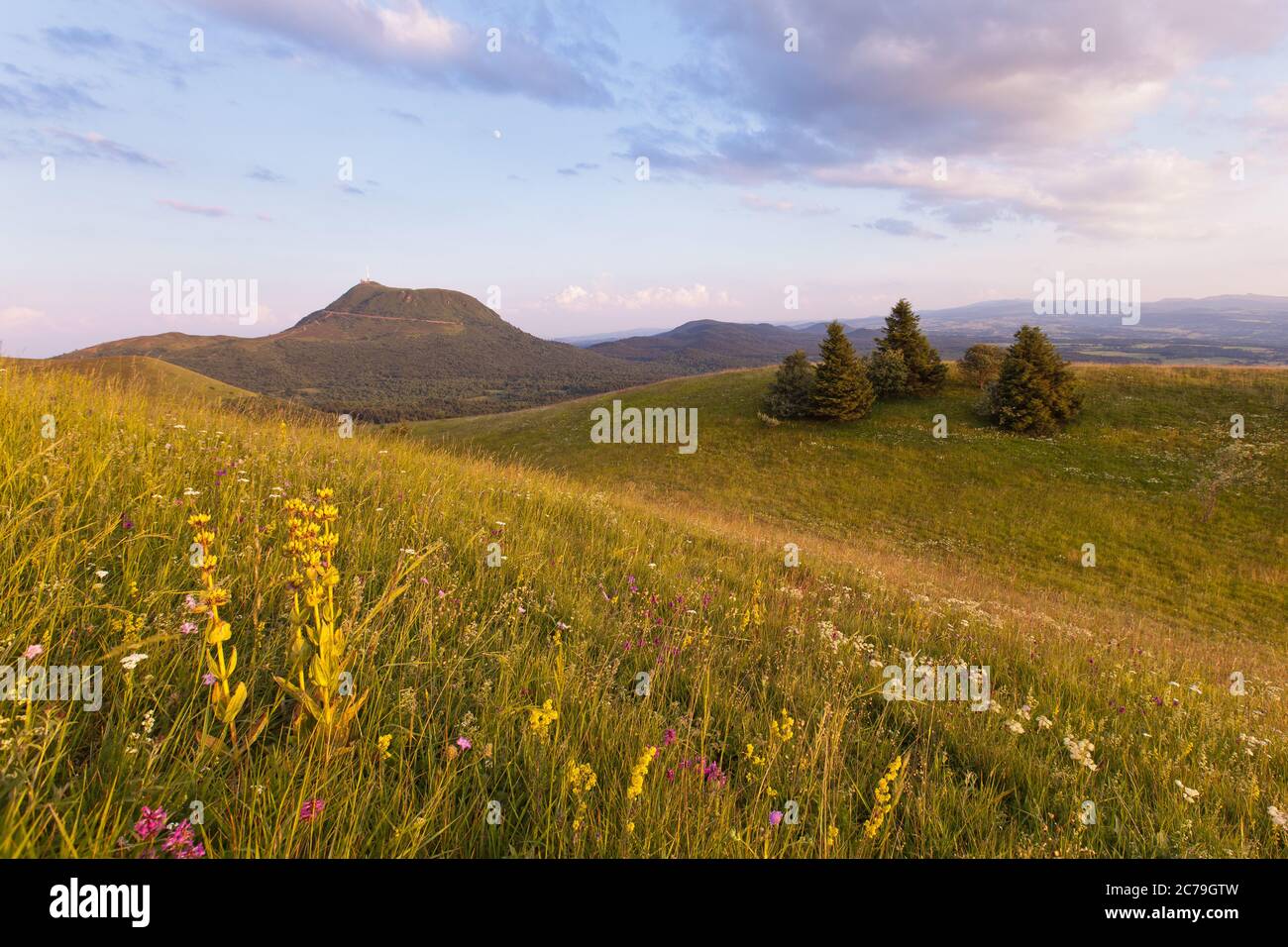 Green Volcano Hills dans le Puy de Dome Auvergne été, Clermont Ferrand, France, massif Central Banque D'Images