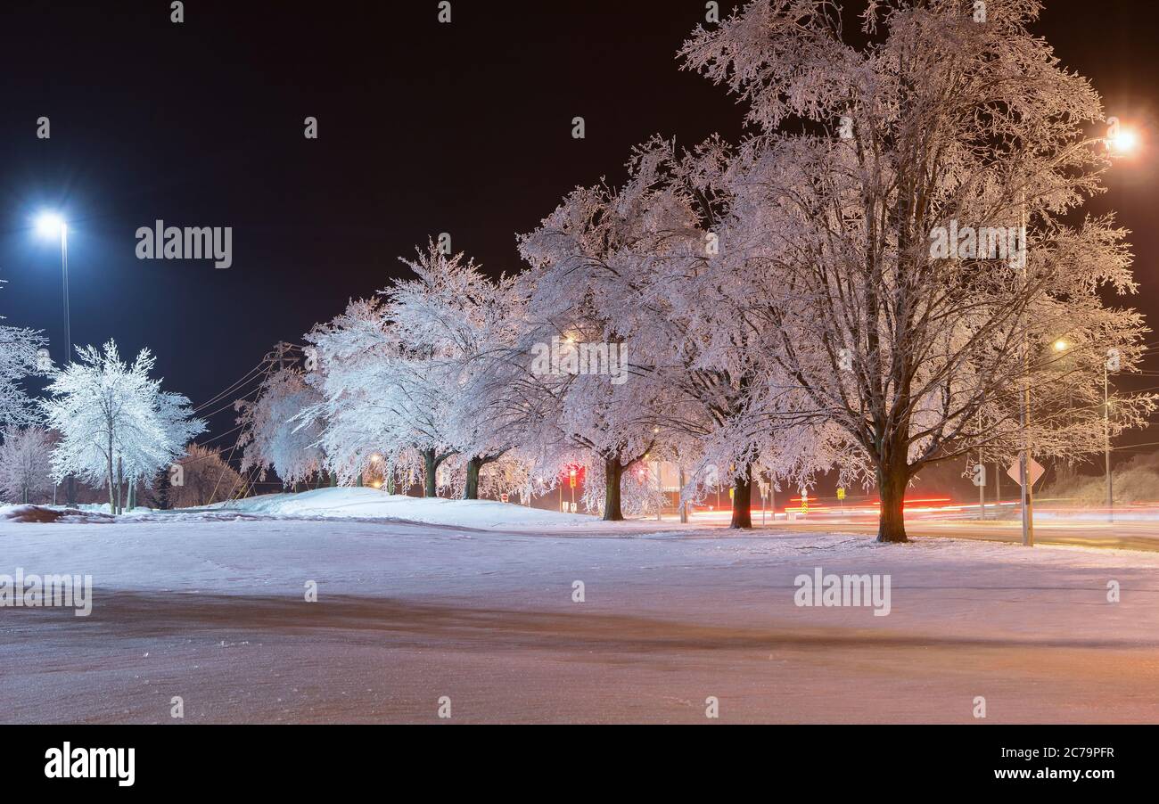 Un cadre paisible de Winter Wonderland avec des arbres couverts de glace après une tempête de verglas. Les lumières de la rue ajoutent une touche romantique à Noël. Banque D'Images