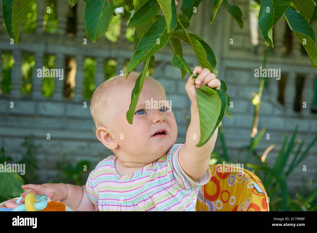 bébé tient sa main sur une feuille verte d'un noyer dans le jardin Banque D'Images