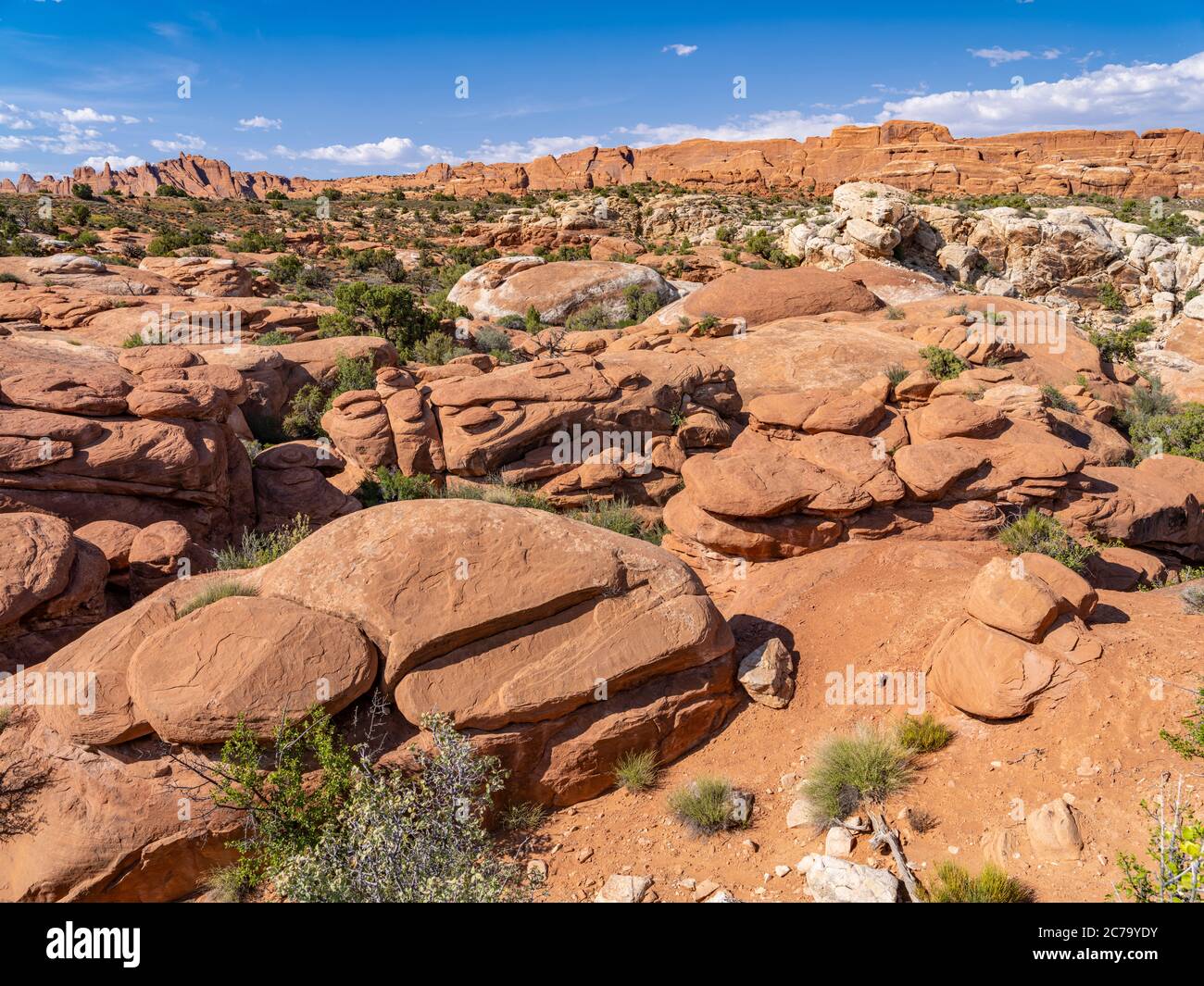 Petrified Dunes, parc national d'Arches, Utah, États-Unis Banque D'Images