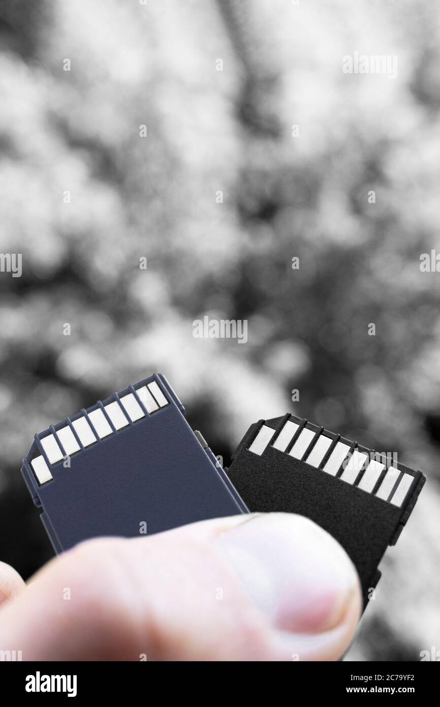 Main tient le couple de cartes grises et noires, sélectif foyer. Cartes SD bleu et noir sur le fond gris flou dans la main d'une femme, vertica Banque D'Images
