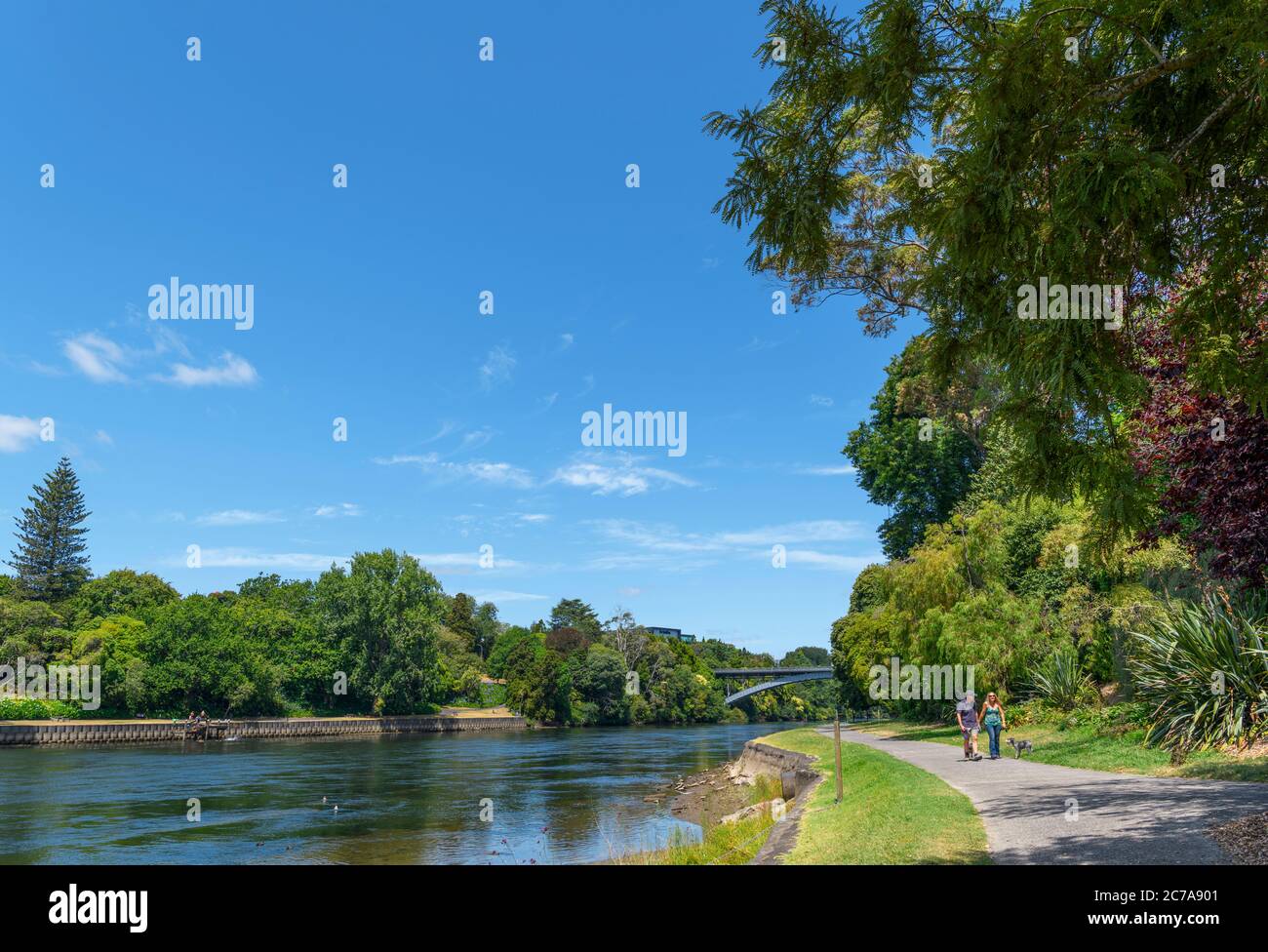 Sentier le long des rives de la rivière Waikato, Hamilton, Nouvelle-Zélande Banque D'Images