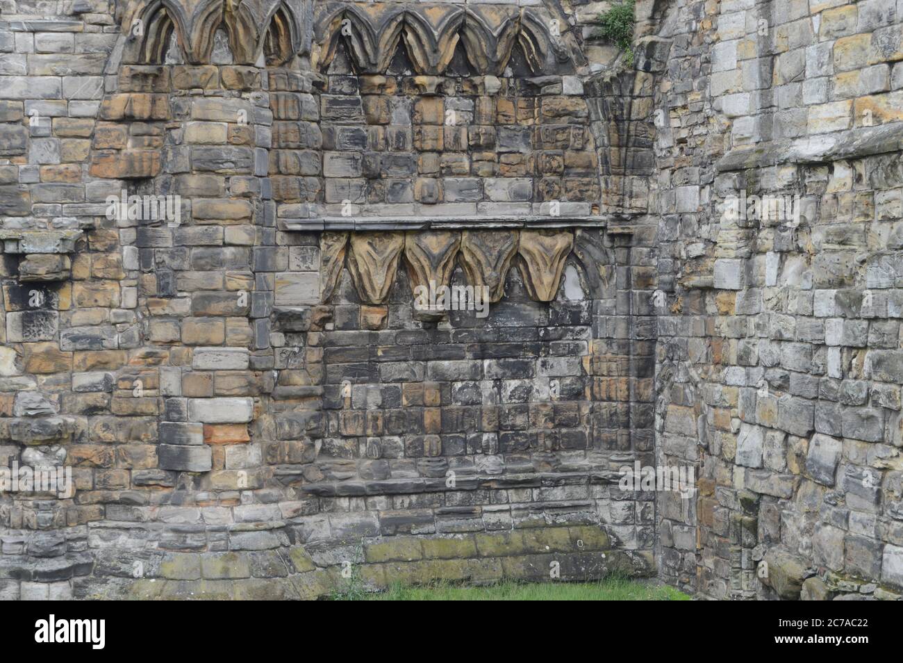 Cathédrale St Andrews, Fife, dans son cadre de prairie unmown de fleurs sauvages Covid-19 Banque D'Images