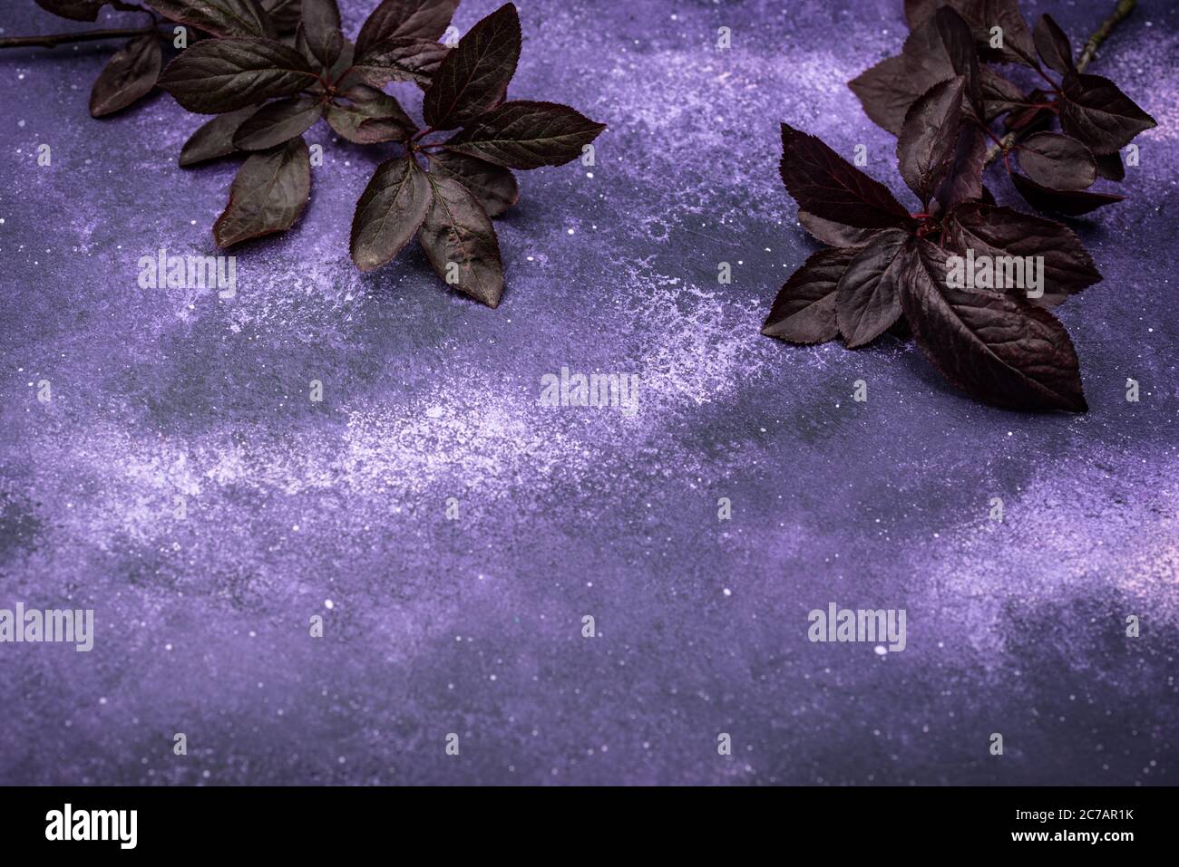 Fond cosmique violet avec feuilles sombres Banque D'Images