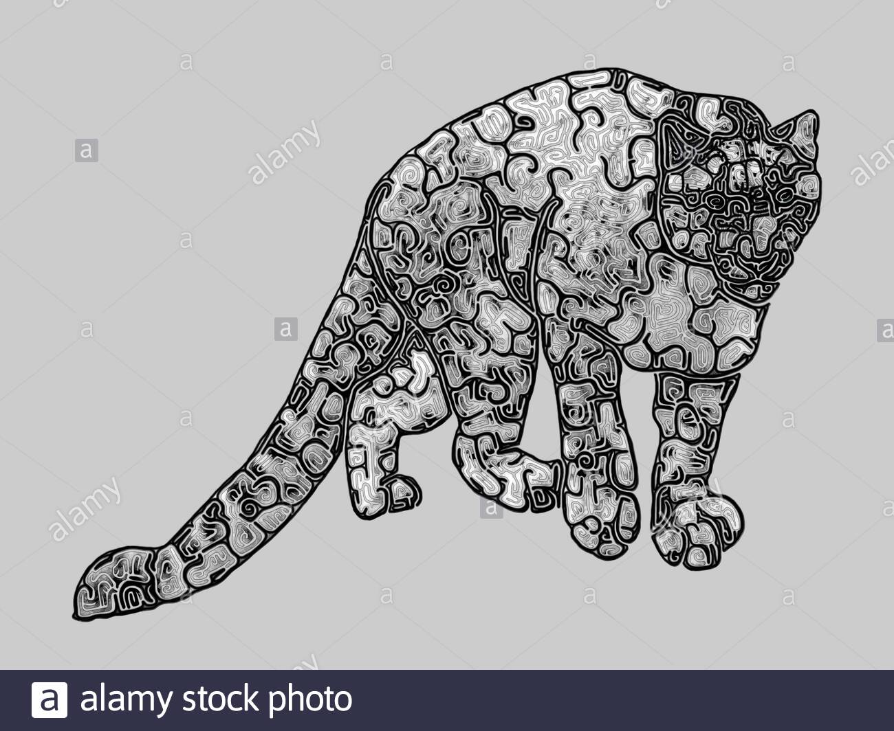 Illustration D Un Leopard Des Neiges Panthera Uncia Dessin Noir Et Blanc Avec Contours Noirs Profil Photo Stock Alamy Illustration D Un Leopard Des Neiges Panthera Uncia Dessin Noir Et Blanc Avec Contours Noirs Profil Photo Stock Alamy
