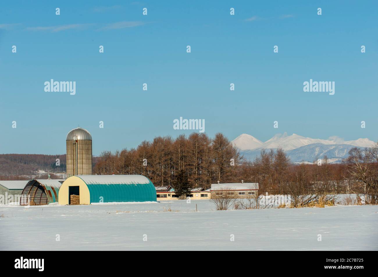 Une ferme avec volcan Akan en arrière-plan en hiver avec de la neige près du petit village de Tsurui près de la ville japonaise de Kushiro sur l'île Hokkaido Banque D'Images
