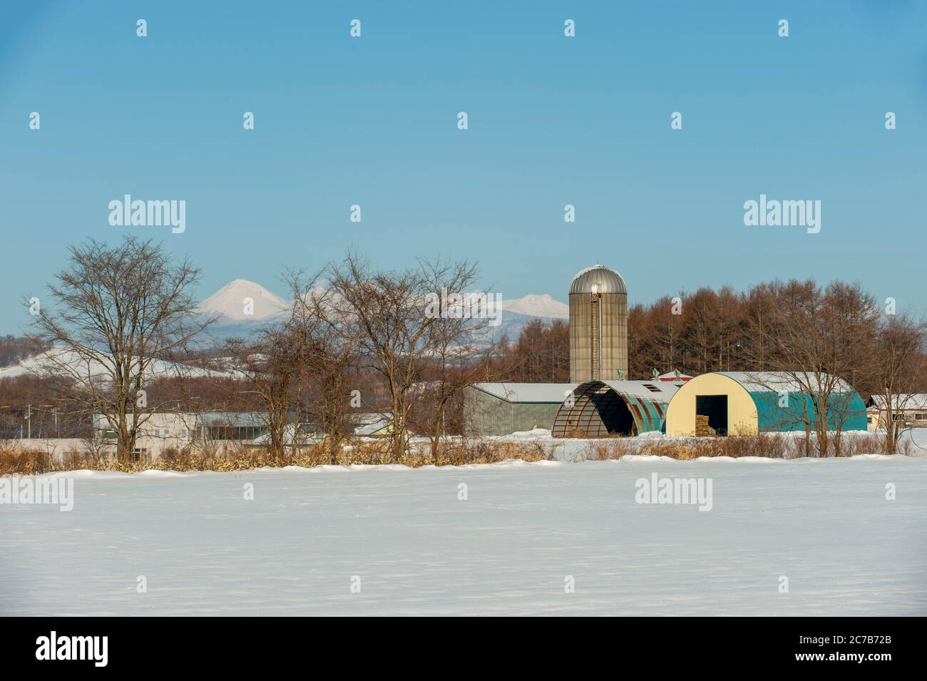 Une ferme avec volcan Akan en arrière-plan en hiver avec de la neige près du petit village de Tsurui près de la ville japonaise de Kushiro sur l'île Hokkaido Banque D'Images