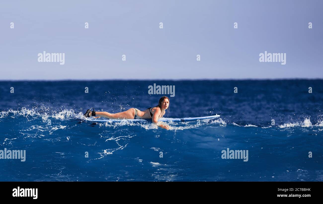 Surfeuse fille attendant une vague. École de surfeur. Belle jeune femme en maillot de bain va dans l'océan en chaude journée d'été. Belle vague d'océan. Sports nautiques Banque D'Images