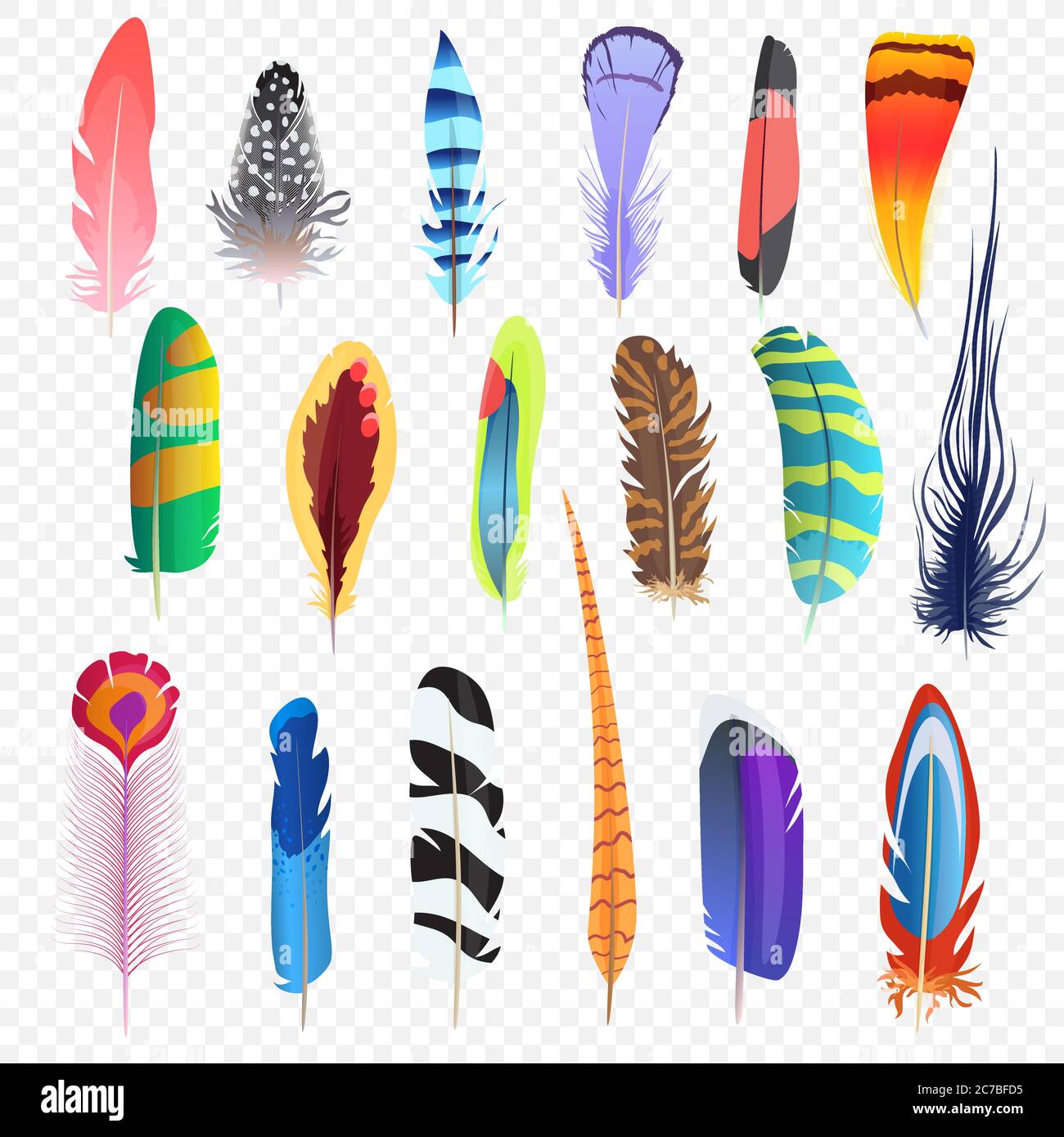 Plumes d'oiseaux de couleur vectorielle isolées sur le fond transperant alpha. Ensemble de plumes stylisées Illustration de Vecteur