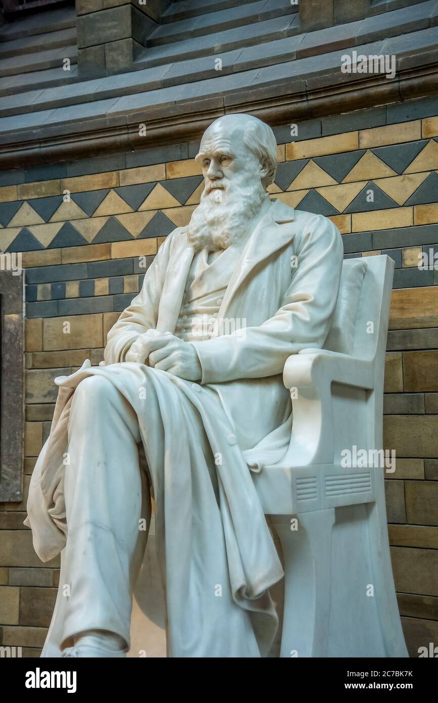 Londres, Royaume-Uni. Vers septembre 2017. Statue de Charles Darwin située au Musée d'Histoire naturelle de Londres Banque D'Images