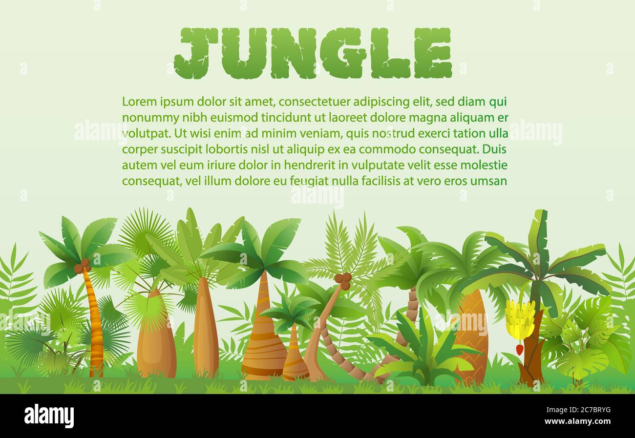 Forêt tropicale de palmiers avec d'autres plantes exotiques tropicales paysage. Forêt luxuriante jungle arbre Illustration de Vecteur