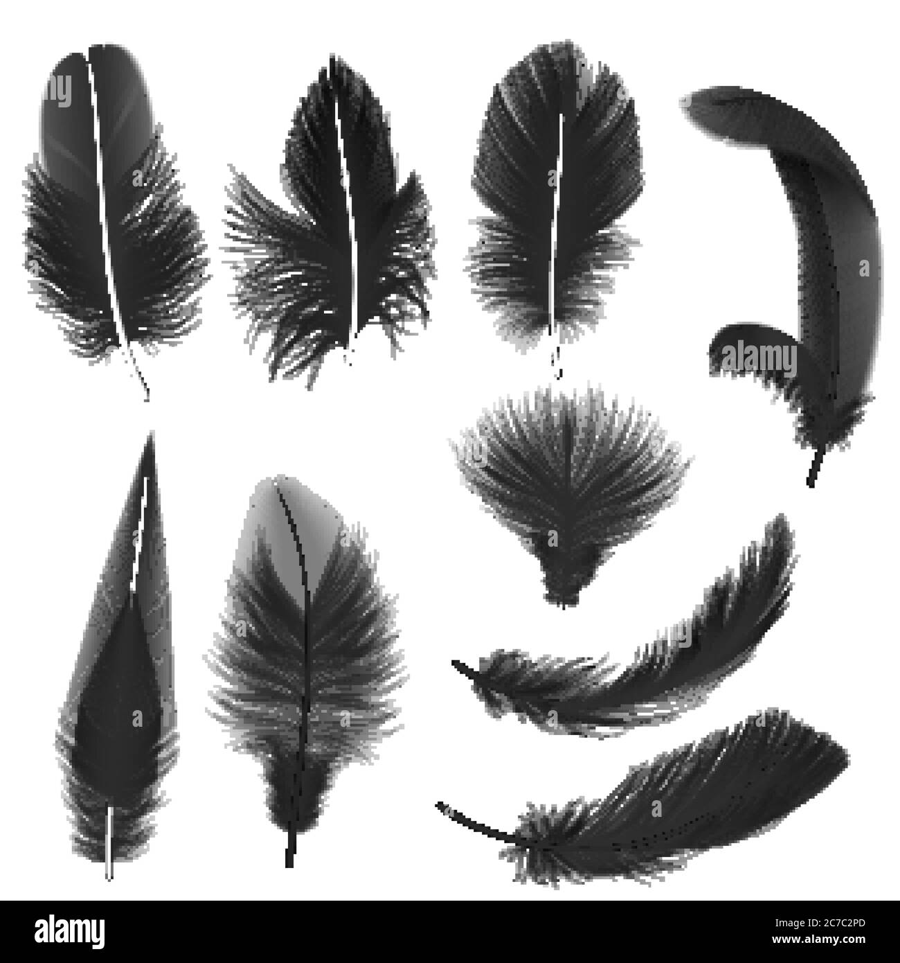 Plumes vectorielles réalistes noires isolées sur blanc Illustration de Vecteur