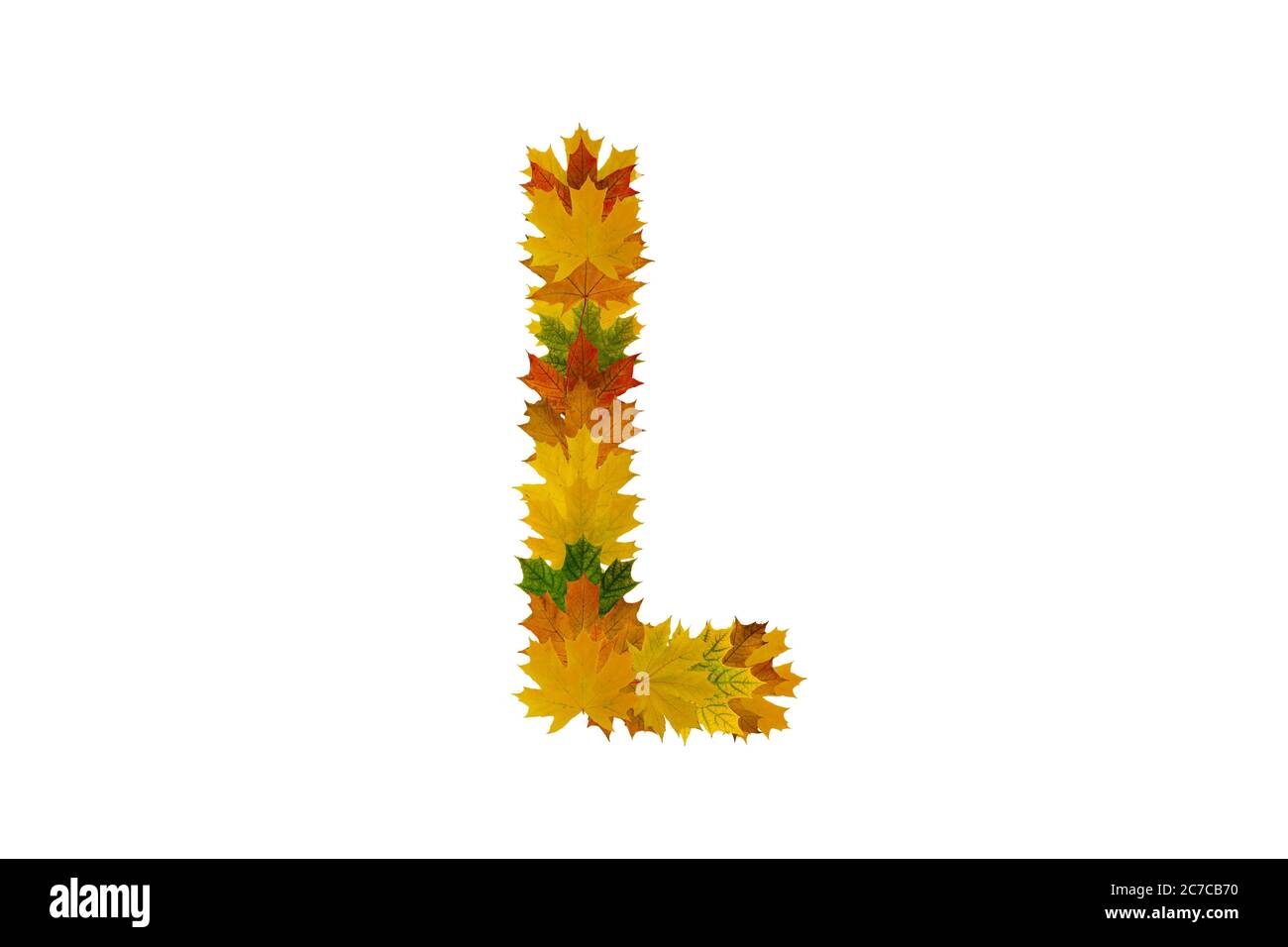 Lettre L des feuilles d'érable d'automne. Alphabet de feuilles vertes, jaunes et orange. Banque D'Images
