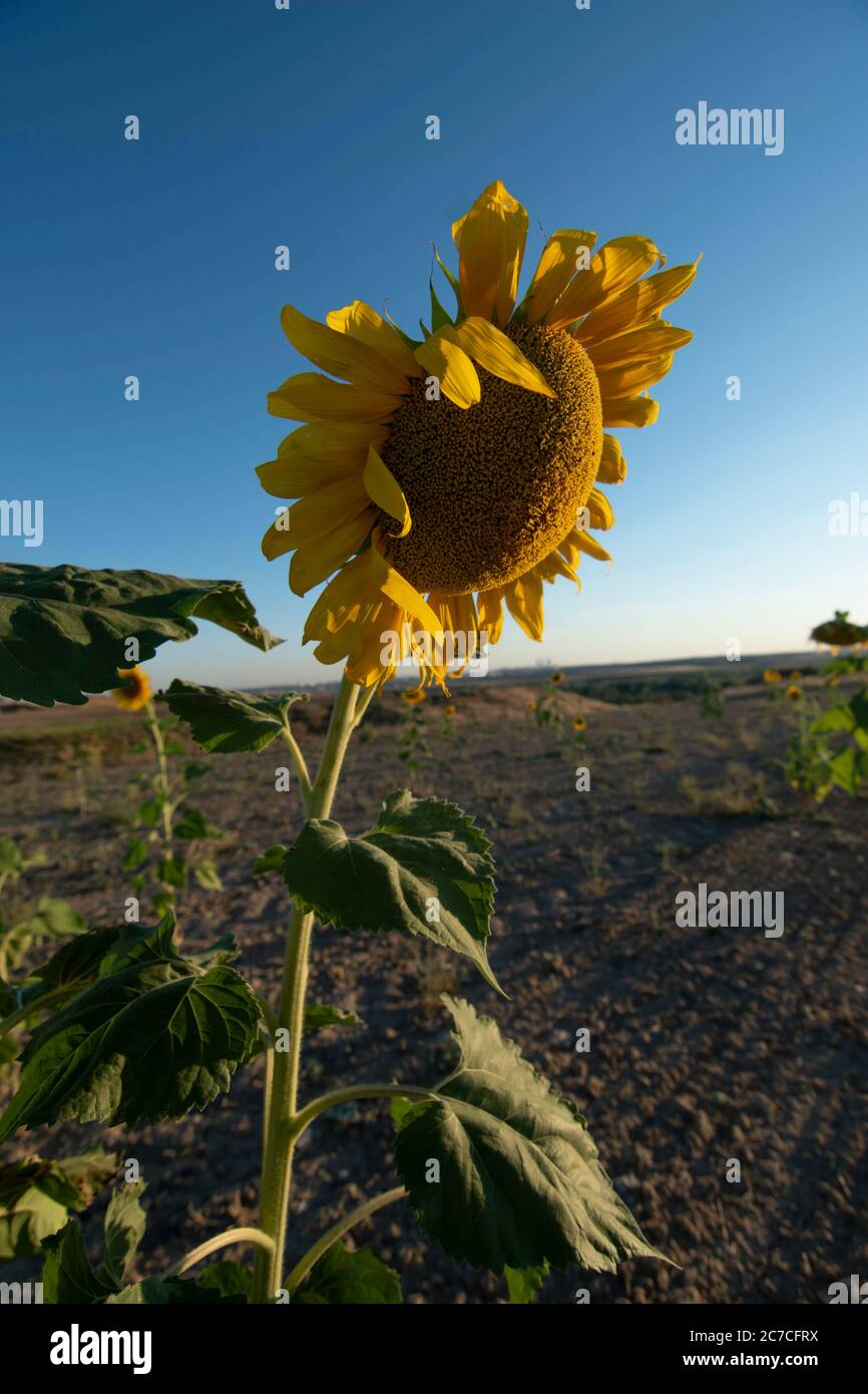 profitez de ce que mes yeux voient Banque D'Images