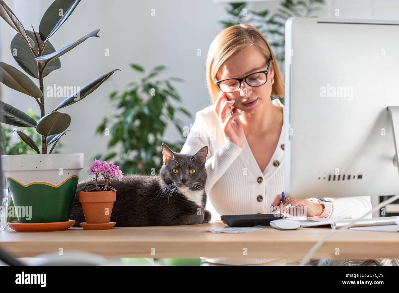 Femme parlant au téléphone, en utilisant la calculatrice pour calculer la facture, la planification des dépenses tout en travaillant sur le bureau à domicile, chat assis près Banque D'Images