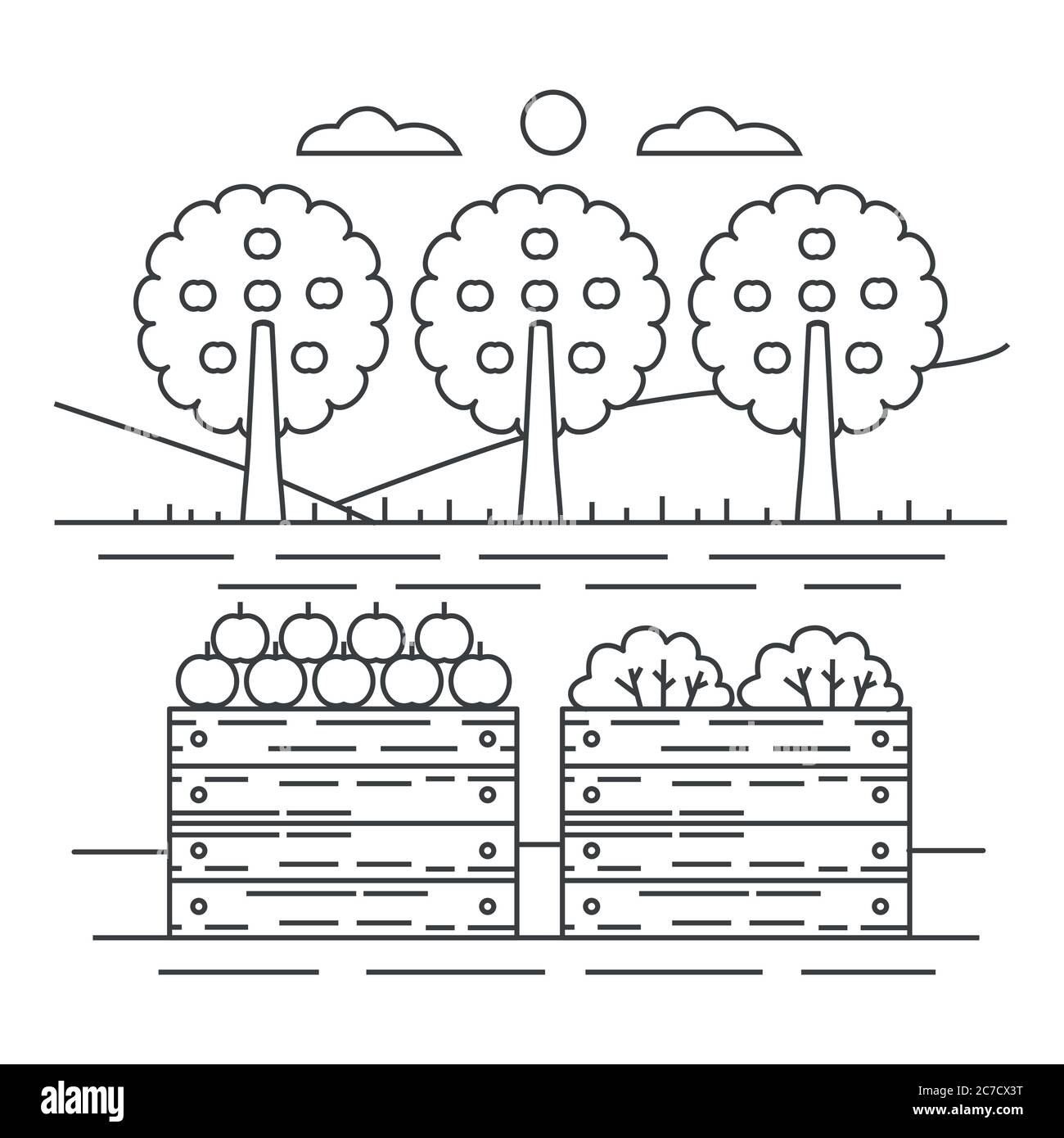 Jardin de fruits de style ligne mince concept avec caisse en bois de pommes illustration vectorielle Illustration de Vecteur