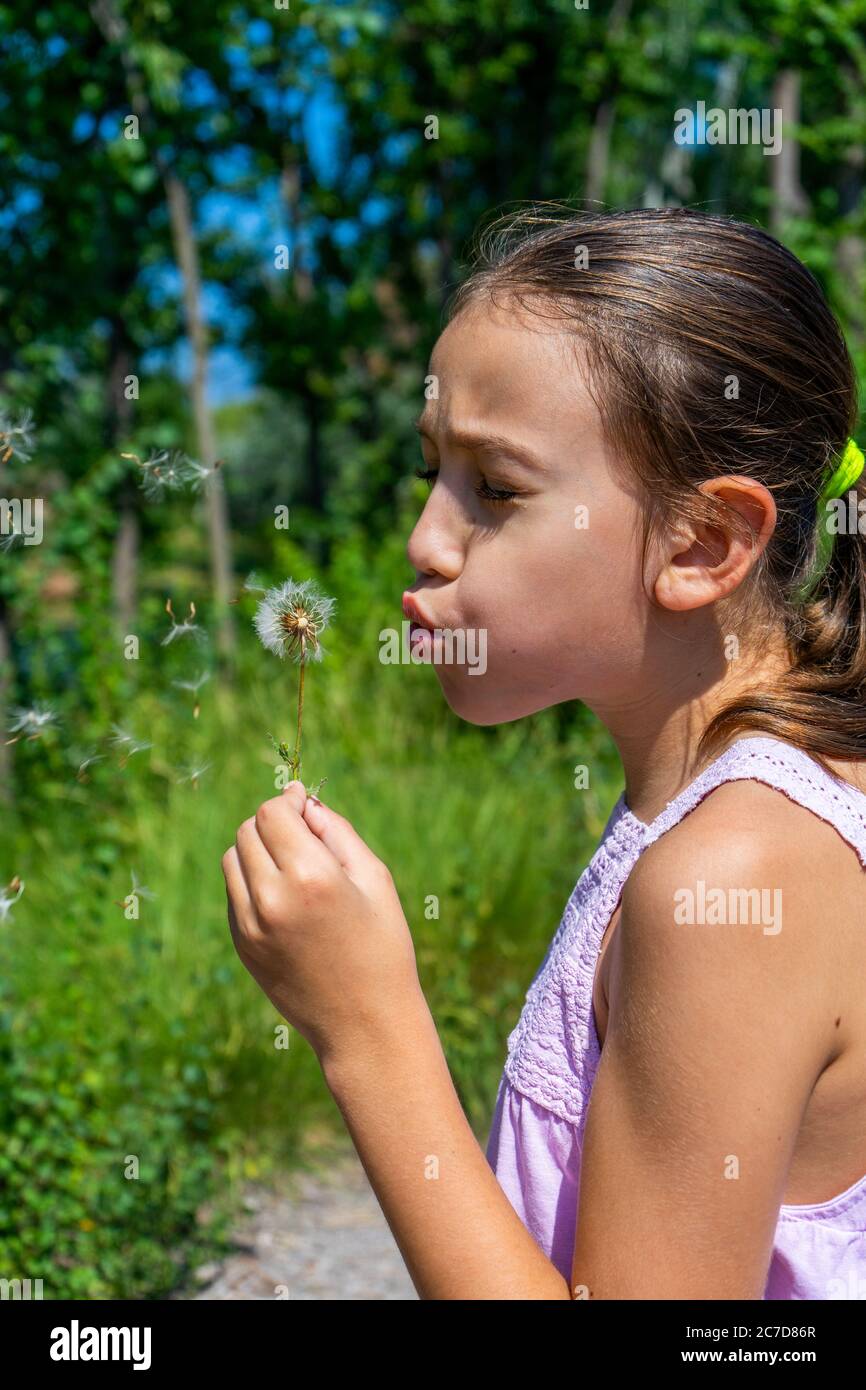 Jolie petite fille cueillant une fleur sur un chemin entouré par la nature. Concept de vie saine Banque D'Images