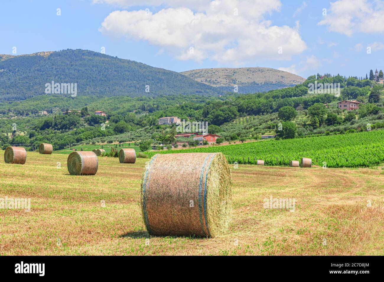 Mantignana, Magione, Ombrie, Italie, Europe Banque D'Images