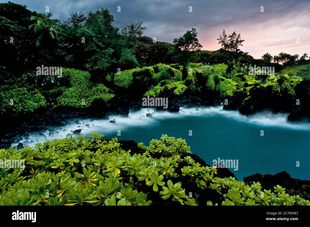 Parc national de Wai'anapanapa. Un emplacement verdoyant avec des grottes marines et des falaises volcaniques. HANA Highway. Maui. Hawaï. C'est un excellent arrêt sur la route de Hana. B Banque D'Images