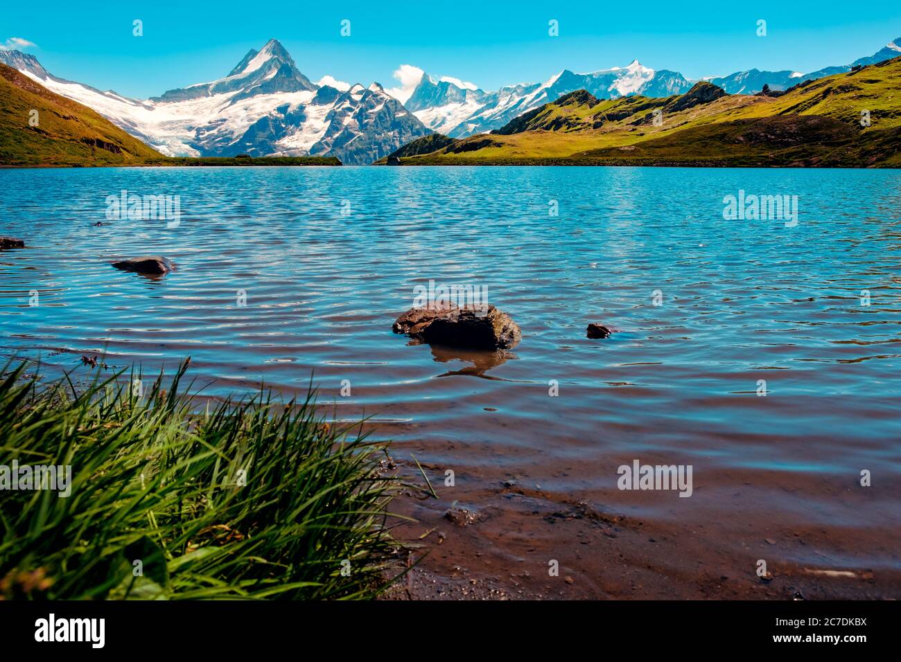 Vue pittoresque sur le lac de montagne Bachalpsee avec les sommets enneigés de Wetterhorn, Schreckhorn et finsteraarhorn en arrière-plan. Grindelwald, Banque D'Images