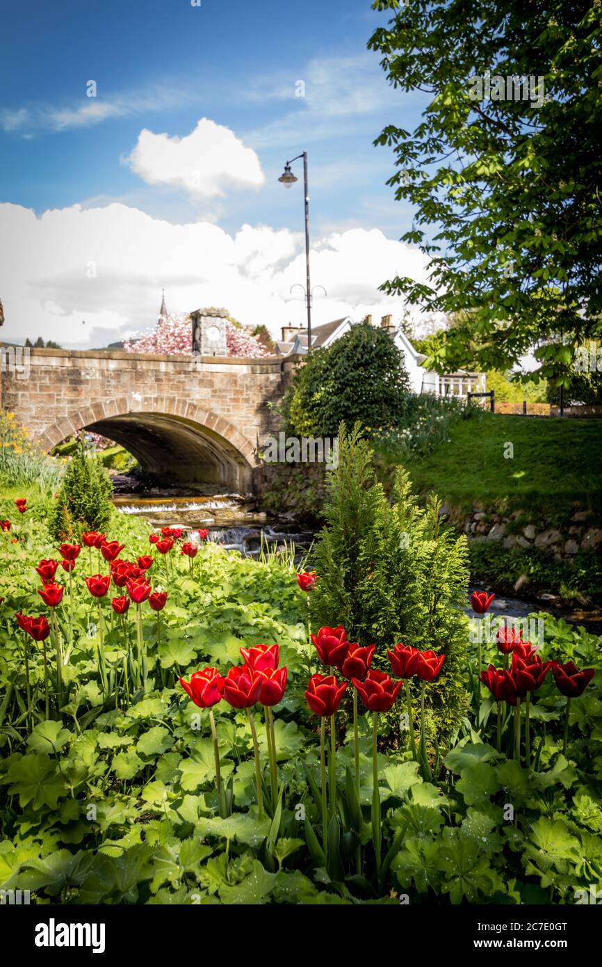 Spring in Dollar (Scottish Gaelic: Dolair) est une petite ville de 2,800 habitants dans le Clackmannanshire, en Écosse. Banque D'Images