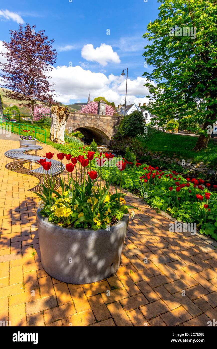Spring in Dollar (Scottish Gaelic: Dolair) est une petite ville de 2,800 habitants dans le Clackmannanshire, en Écosse. Banque D'Images