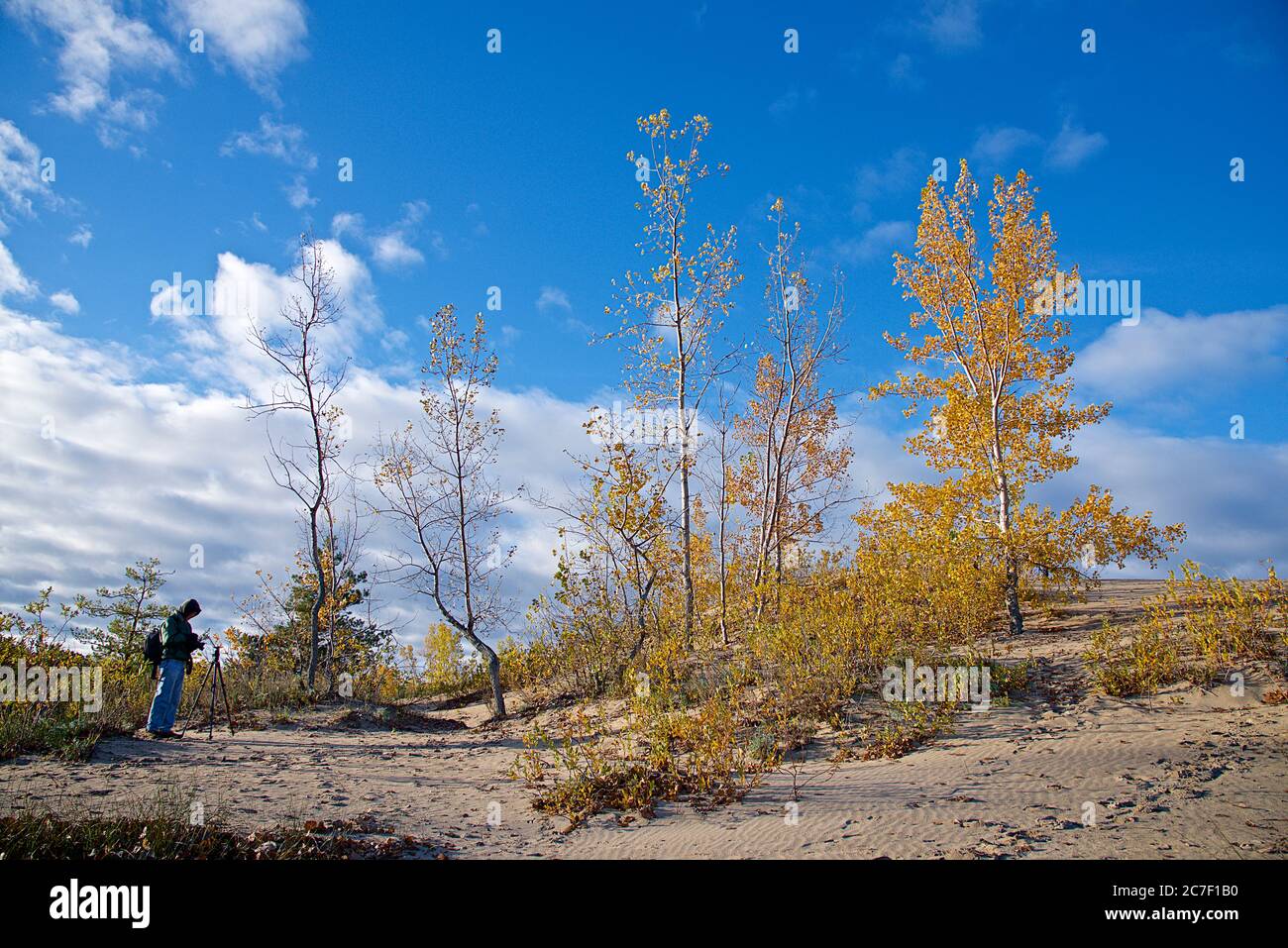 Photographe photo prendre sur la dune de sable avec des feuilles jaunes et le ciel bleu Banque D'Images