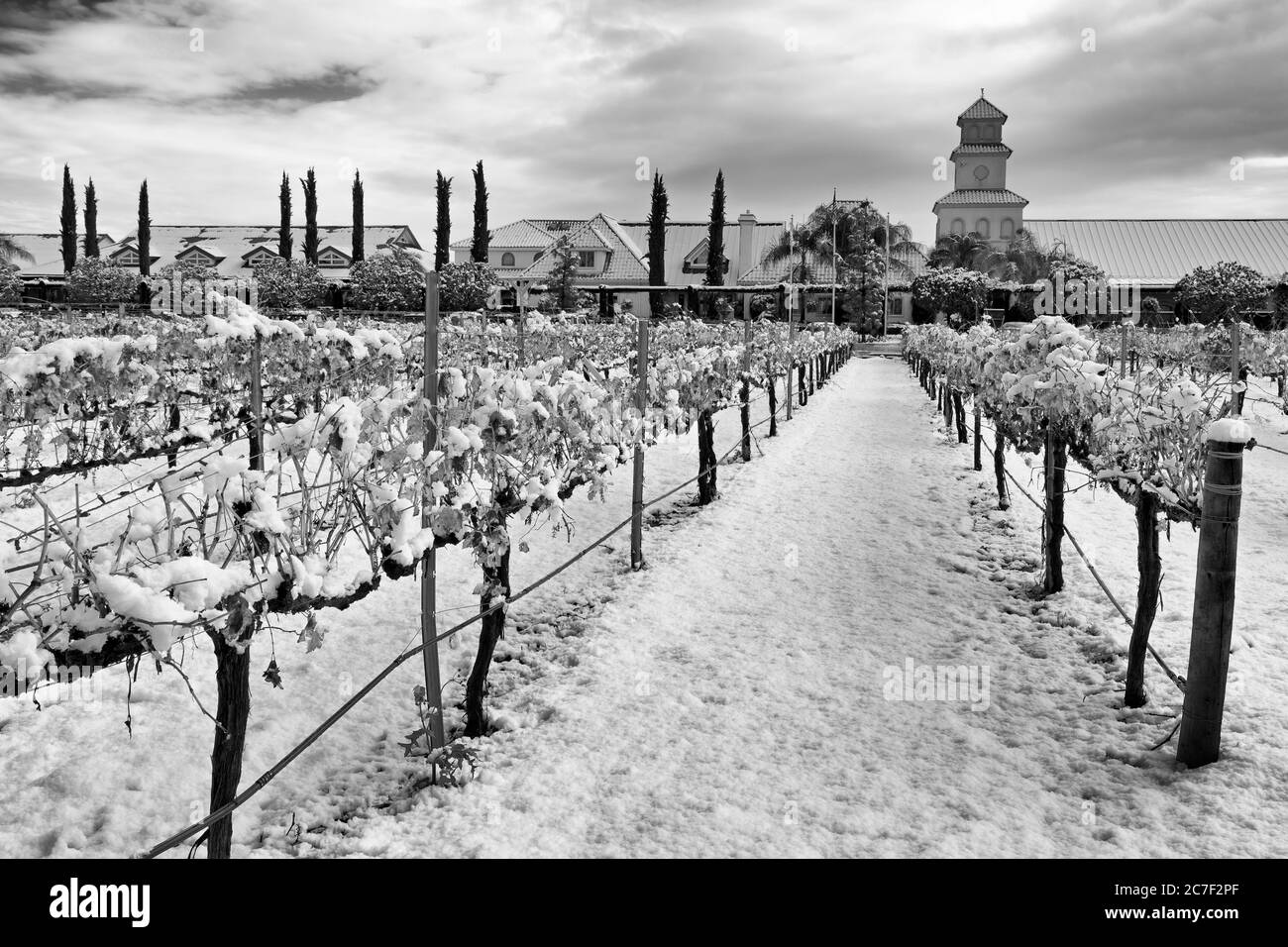 Cave de vinification South Coast, Temecula Valley, Californie du Sud, États-Unis Banque D'Images