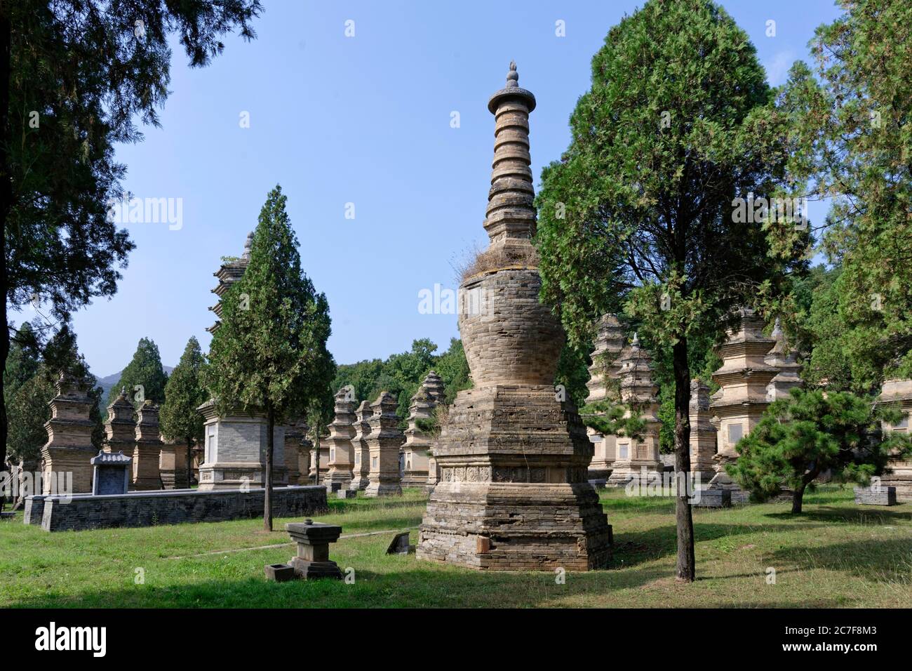 Monastère de Shaolin, site d'inhumation, forêt de pagodes, Shaolinsi, Zhengzhou, Henan Sheng, Chine Banque D'Images