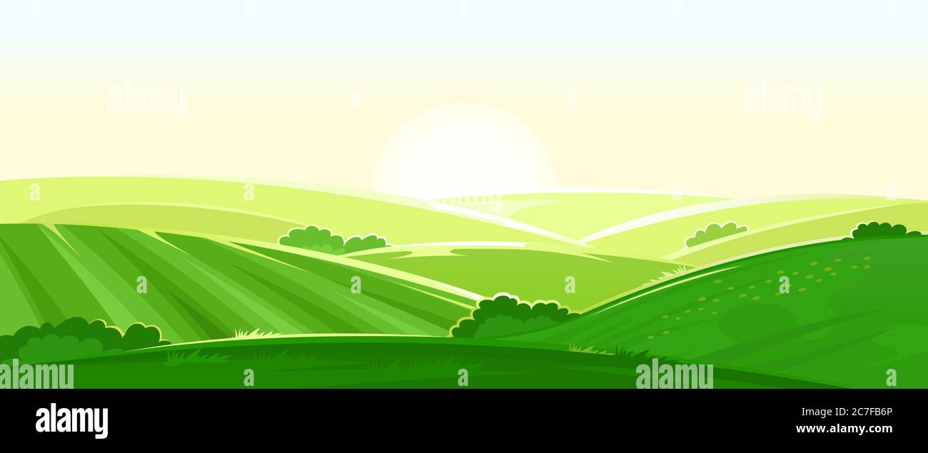 Paysage rural ensoleillé. Vecteur. Collines verdoyantes, champs de ferme, prairies et pâturages. Soleil d'été lumineux, panorama à l'ombre. Viev. Illustration de Vecteur