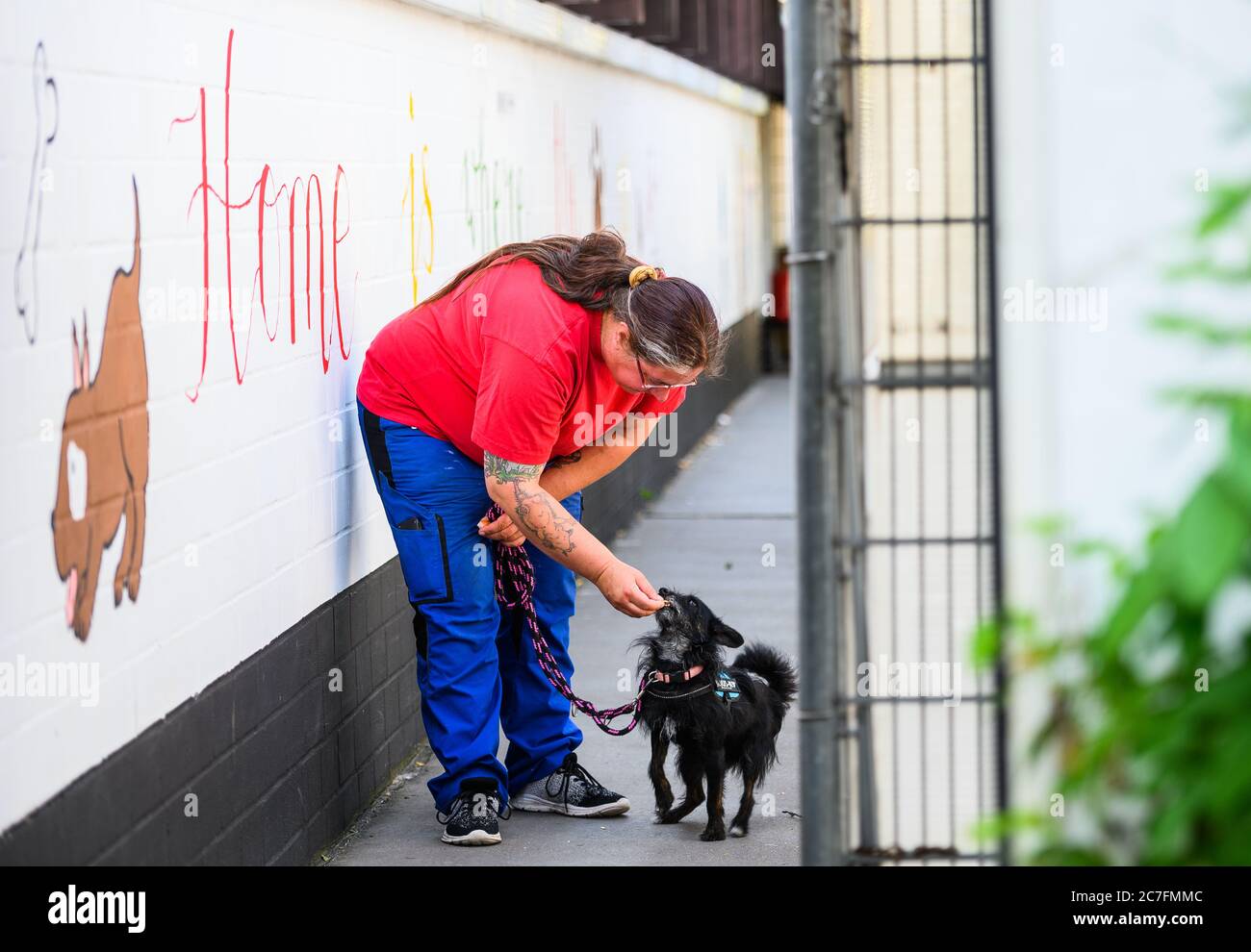 14 juillet 2020, Hessen, Francfort-sur-le-main: Sabine Urbainski, directrice du refuge pour animaux de Fechenheim de la 'Tierschutzverein Frankfurt am main und Umgebung von 1841 e.V.', est debout avec 'sissi' (6) hybride spitz nain dans le refuge pour animaux. Selon le directeur, Sissi est un chien très familial et cherche toujours une maison. Dans les abris pour animaux de Hesse, il y a un intérêt plus grand pour les animaux de compagnie. Les installations attribuent cela à la période Corona avec le bureau à domicile, les règles de distance, moins de contacts et beaucoup de temps à la maison. Photo: Andreas Arnold/dpa Banque D'Images