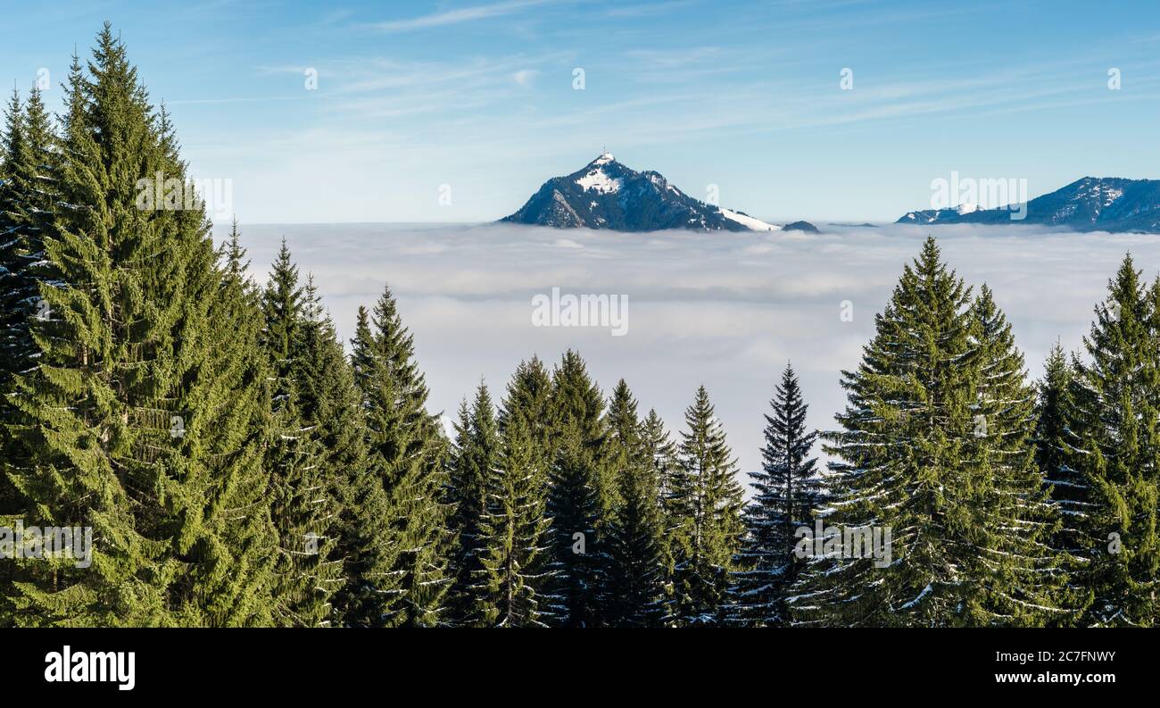 Bâton de montagne hors de la couche de nuage brumeux. Mer de nuages. Gruenten, Allgau, Allemagne. Banque D'Images