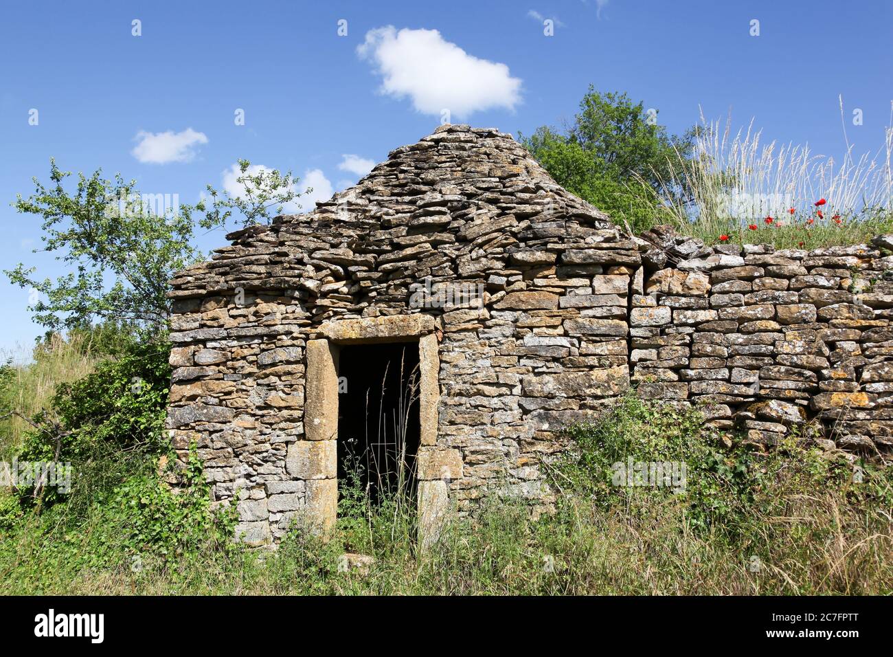 Ancienne et typique cabane en pierre appelée cadole en langue française dans les vignobles du Beaujolais, France Banque D'Images
