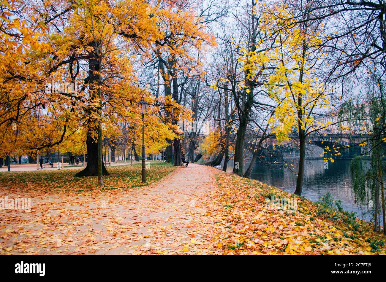 Homme adulte assis sur un banc dans un parc entouré de feuillage jaune, dans une journée d'automne typique à Prague, en Tchéquie Banque D'Images