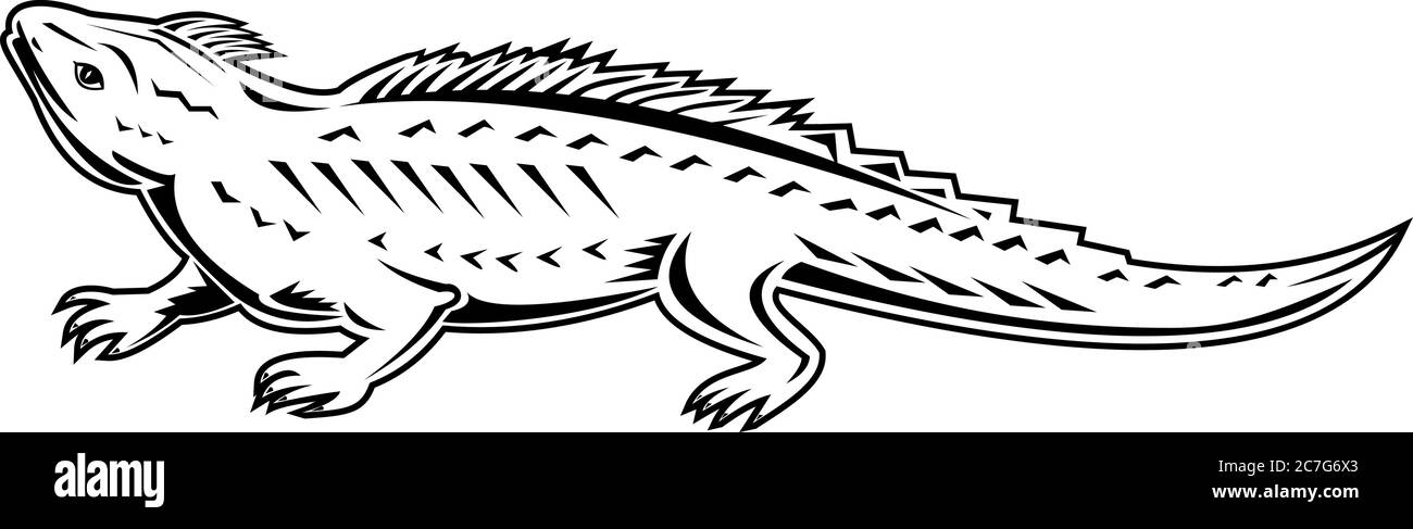 Illustration rétro de style noir et blanc d'un tuatara du Nord, reptile endémique à la Nouvelle-Zélande ressemblant à un lézard, mais faisant partie d'une lignée distincte R Illustration de Vecteur