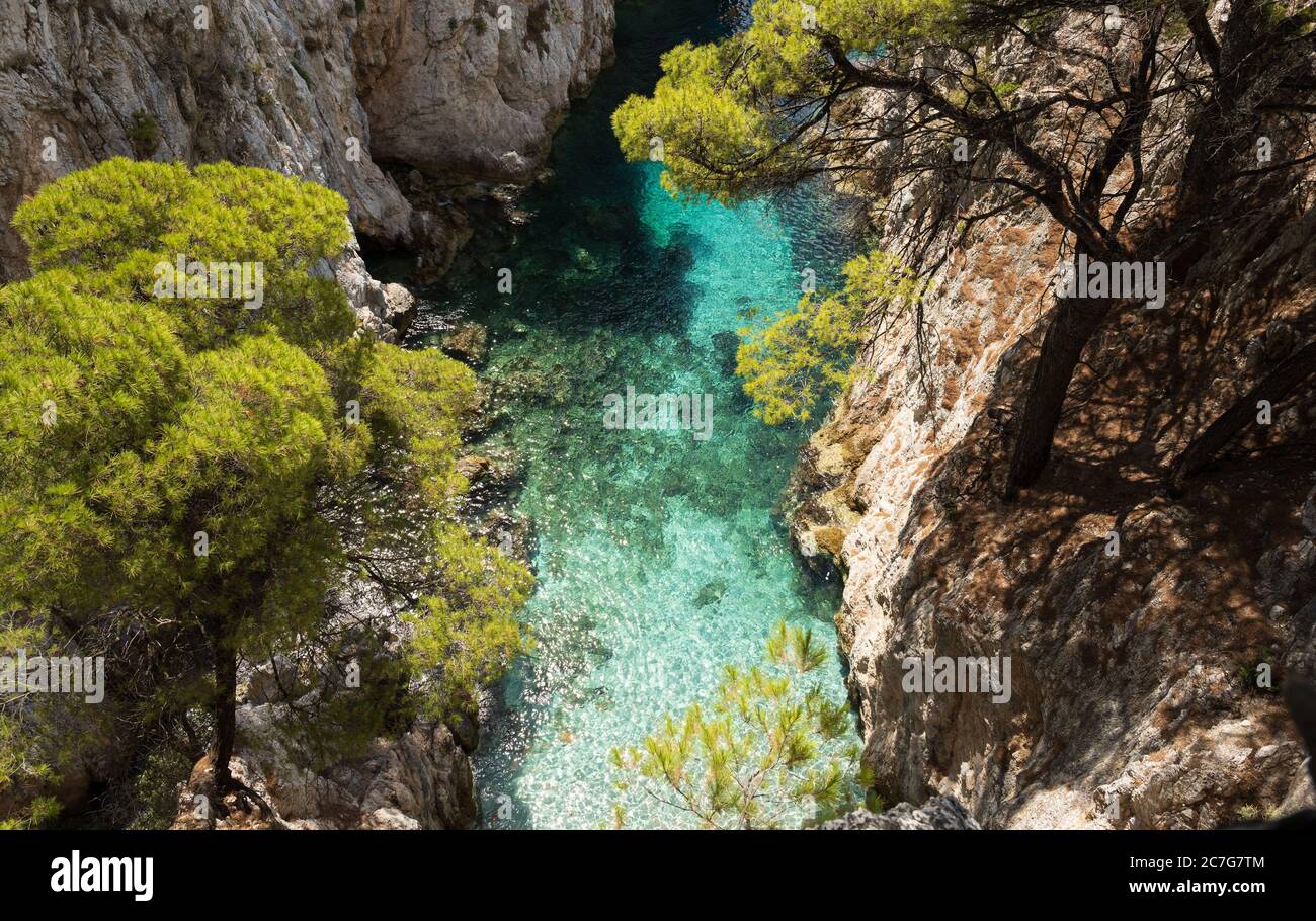 L'eau de mer turquoise claire de l'Amarandos Cove sur l'île de Skopelos rappelle des vacances rafraîchissantes en été méditerranéen. Banque D'Images